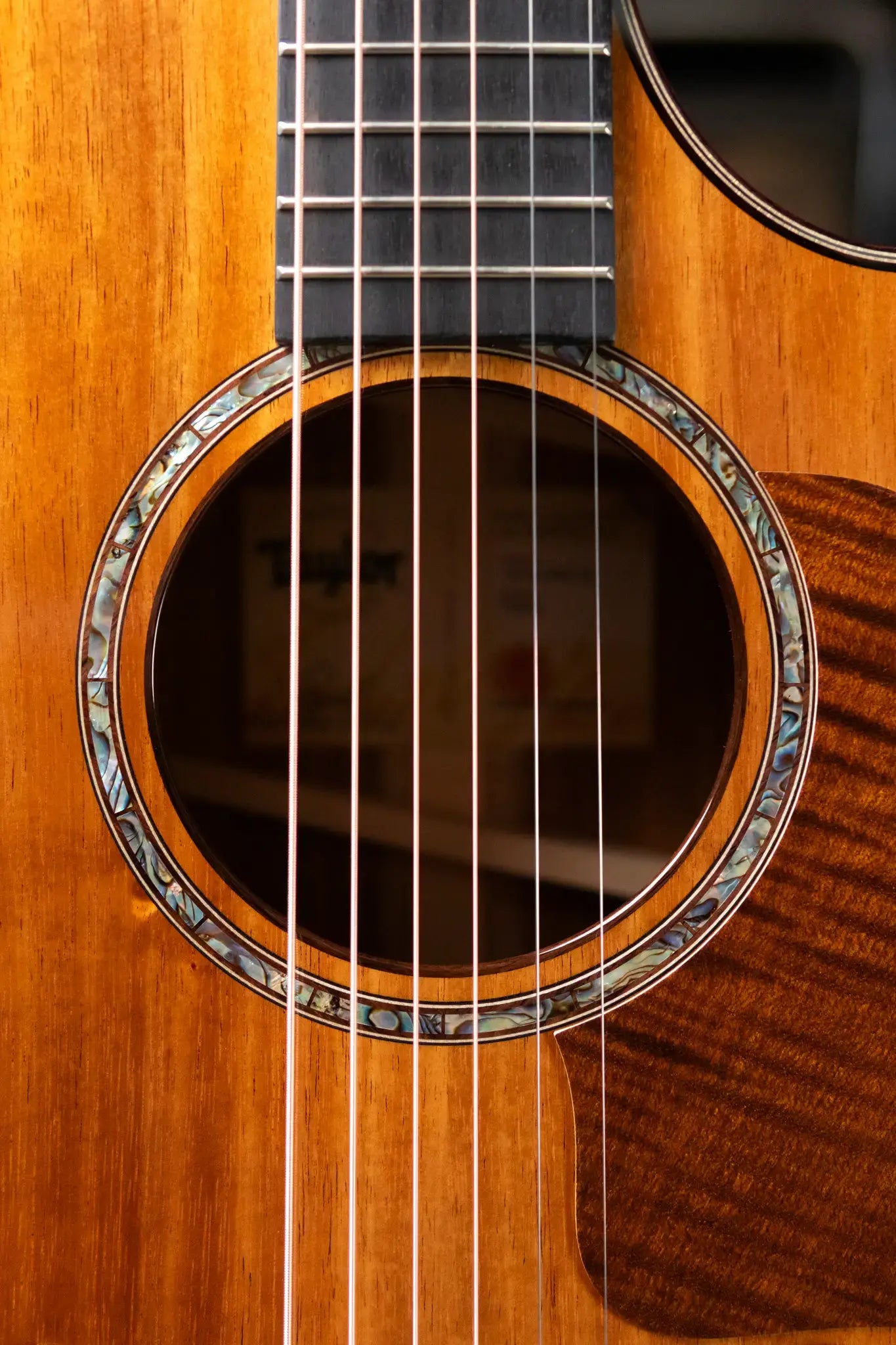 Taylor 722ce Grand Concert Acoustic/Electric Guitar with Hardshell Case - Factory Demo