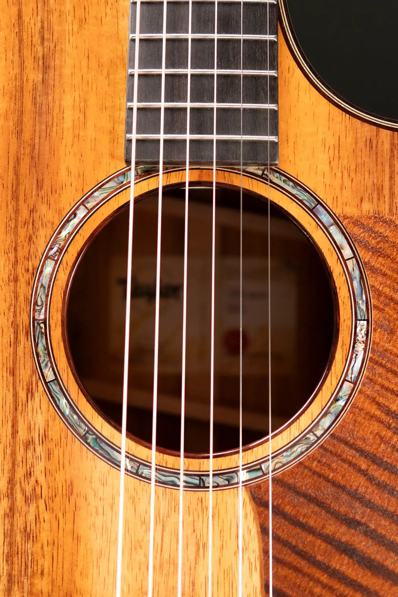 Taylor 724ce Grand Auditorium Acoustic/Electric Guitar with Hardshell Case