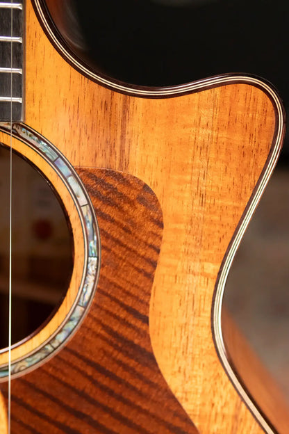 Taylor 724ce Grand Auditorium Acoustic/Electric Guitar with Hardshell Case