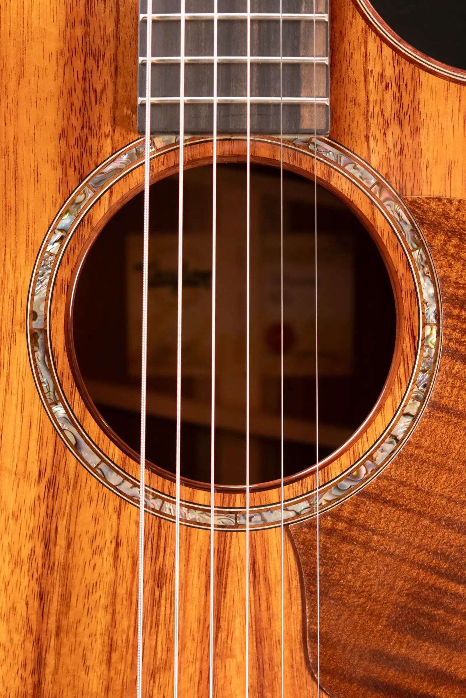 Taylor 724ce Grand Auditorium Acoustic/Electric Guitar with Hardshell Case