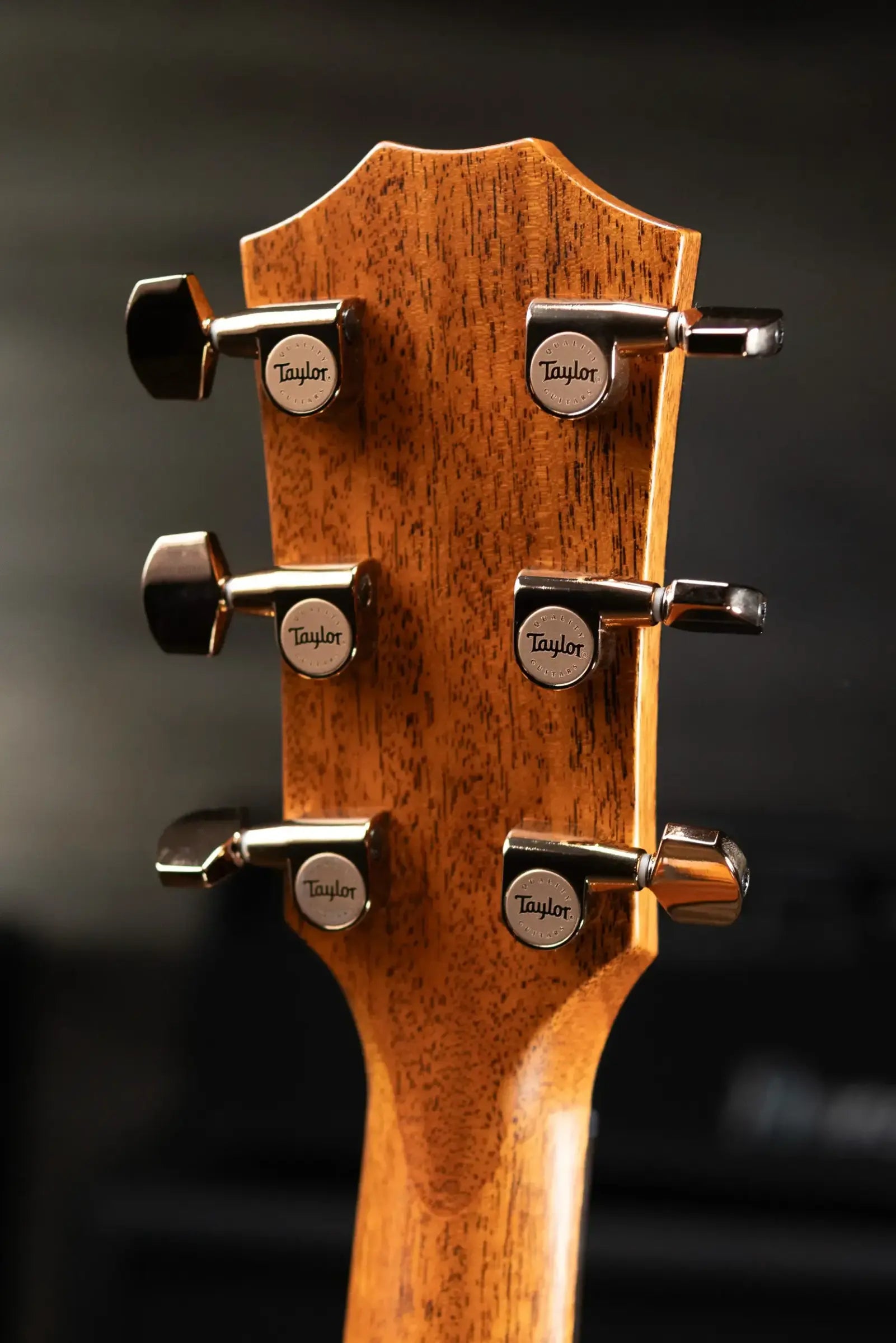 Taylor 724ce Grand Auditorium Acoustic/Electric Guitar with Hardshell Case