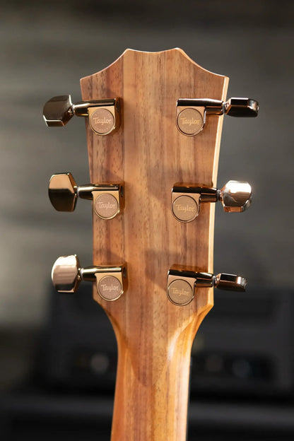 Taylor 724ce Grand Auditorium Acoustic/Electric Guitar with Hardshell Case