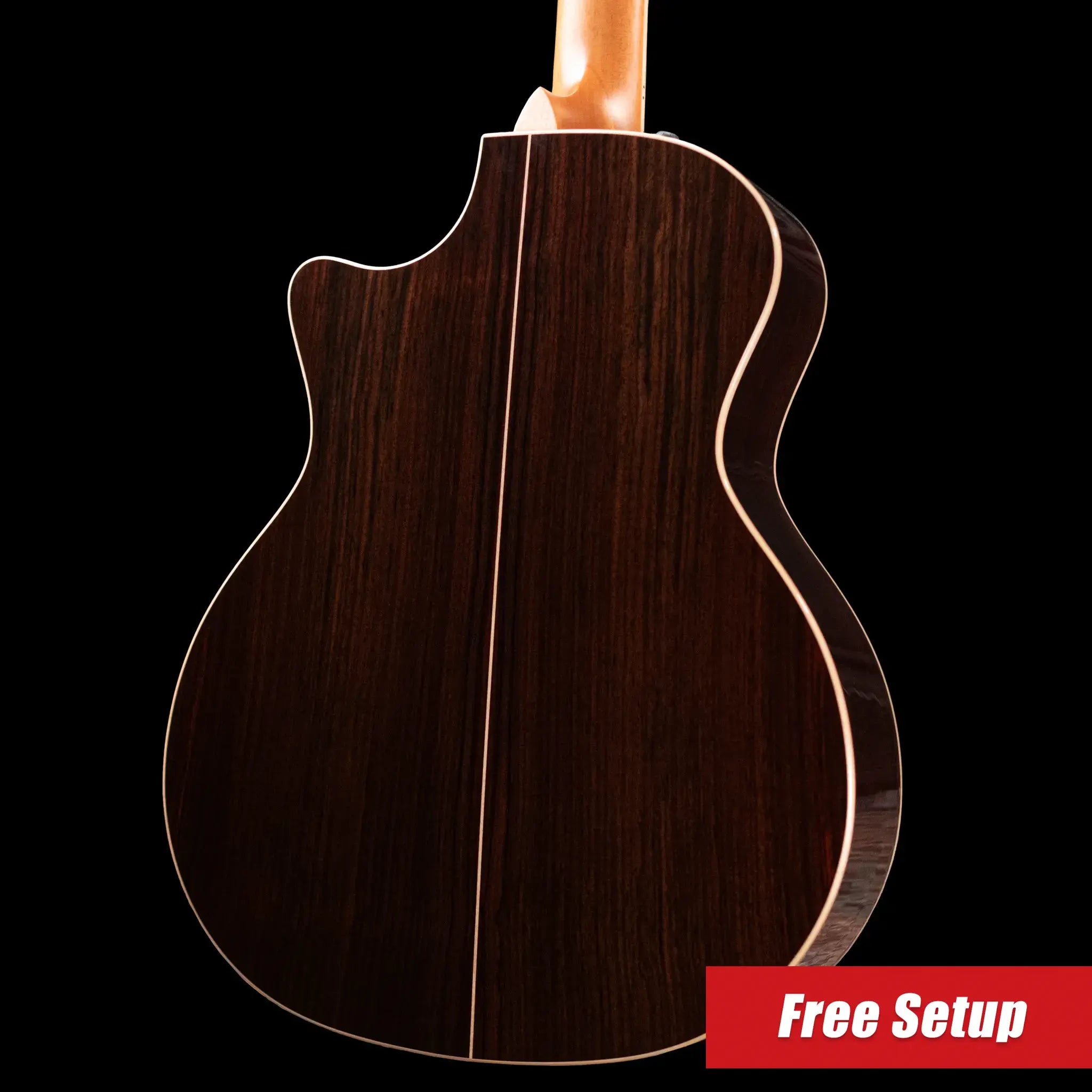 Taylor 814ce-N Nylon Grand Auditorium Acoustic/Electric Guitar with Hardshell Case