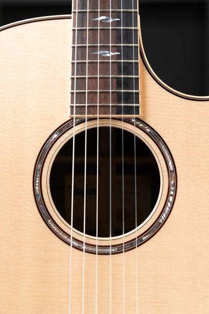 Taylor 814ce-N Nylon Grand Auditorium Acoustic/Electric Guitar with Hardshell Case