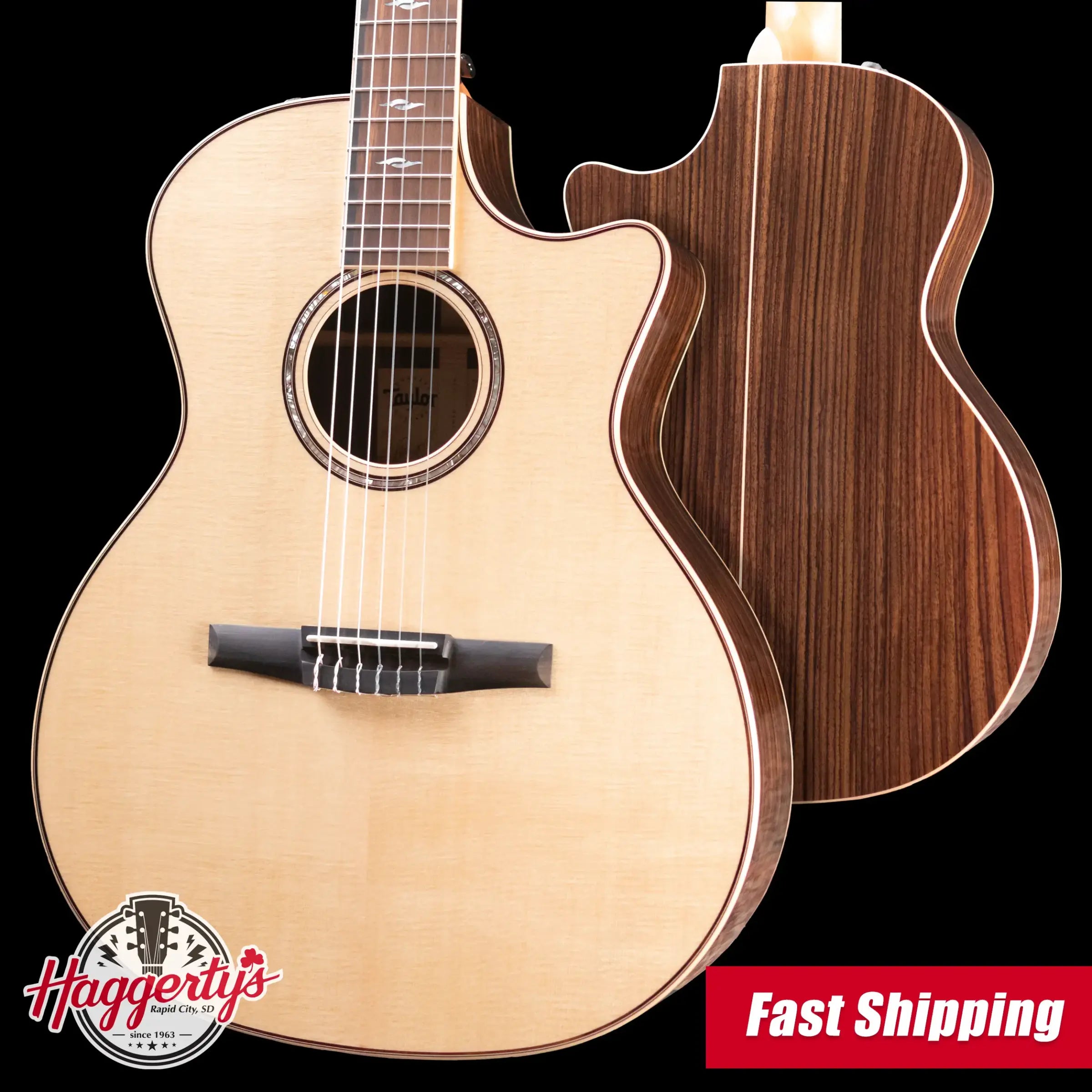 Taylor 814ce-N Nylon Grand Auditorium Acoustic/Electric Guitar with Hardshell Case