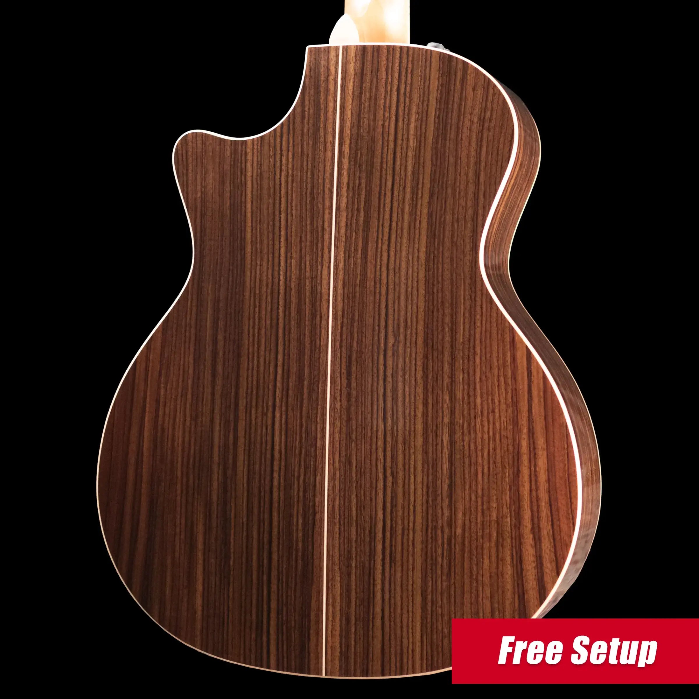 Taylor 814ce-N Nylon Grand Auditorium Acoustic/Electric Guitar with Hardshell Case