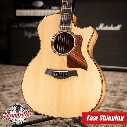Taylor 814ce Special Edition Grand Auditorium Acoustic/Electric Guitar - Sassafras/Bearclaw Sitka Spruce with Hardshell Case