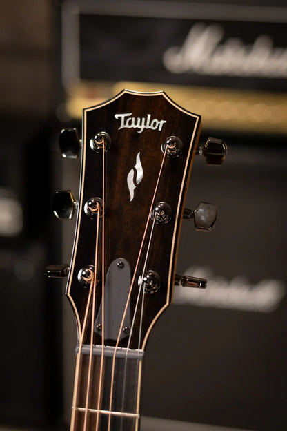 Taylor 814ce Special Edition Grand Auditorium Acoustic/Electric Guitar - Sassafras/Bearclaw Sitka Spruce with Hardshell Case