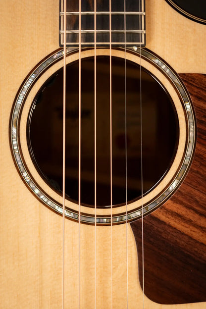 Taylor 814ce Special Edition Grand Auditorium Acoustic/Electric Guitar - Sassafras/Bearclaw Sitka Spruce with Hardshell Case
