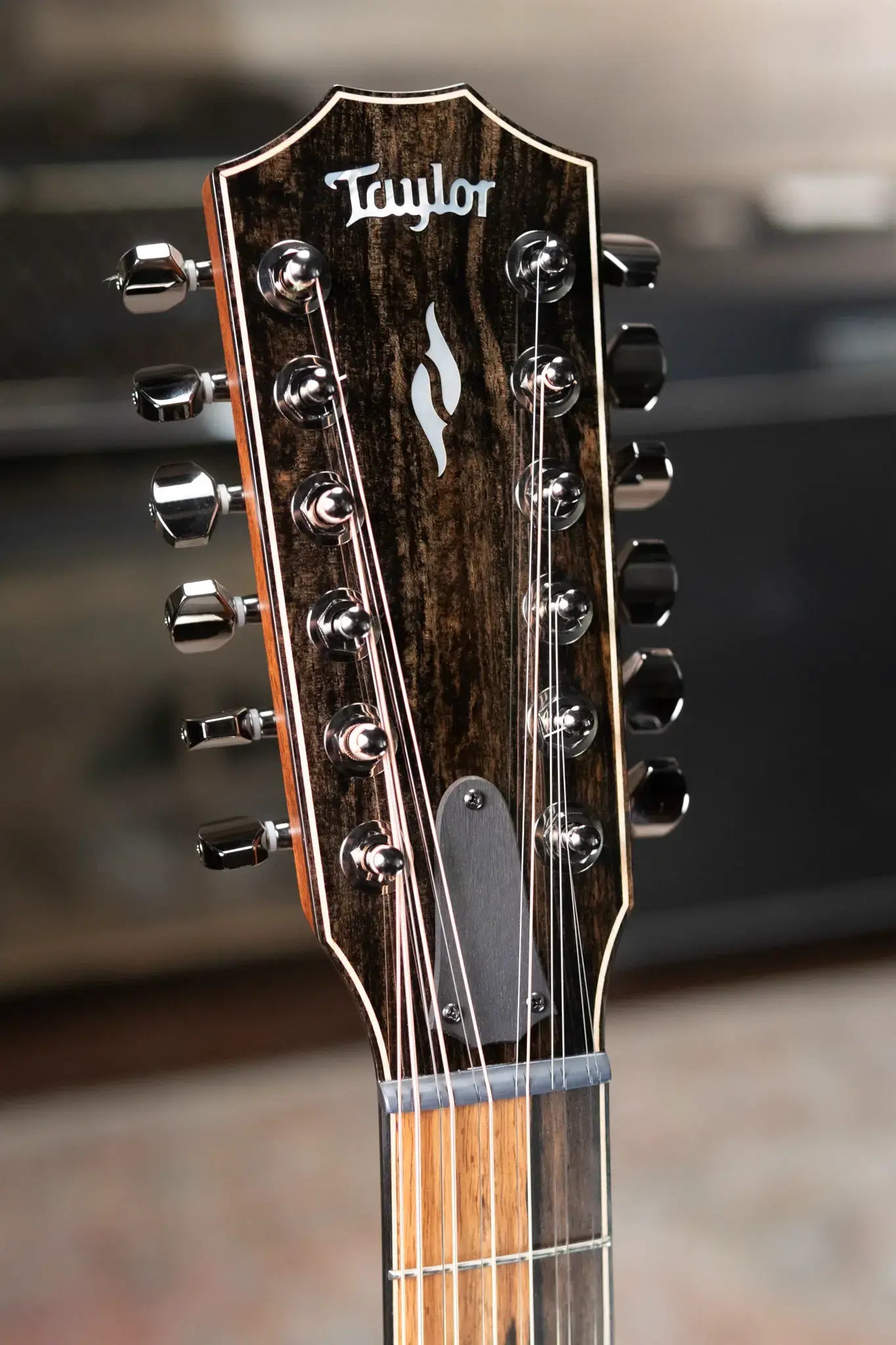 Taylor 854ce 12-String Grand Auditorium Acoustic/Electric Guitar with Hardshell Case
