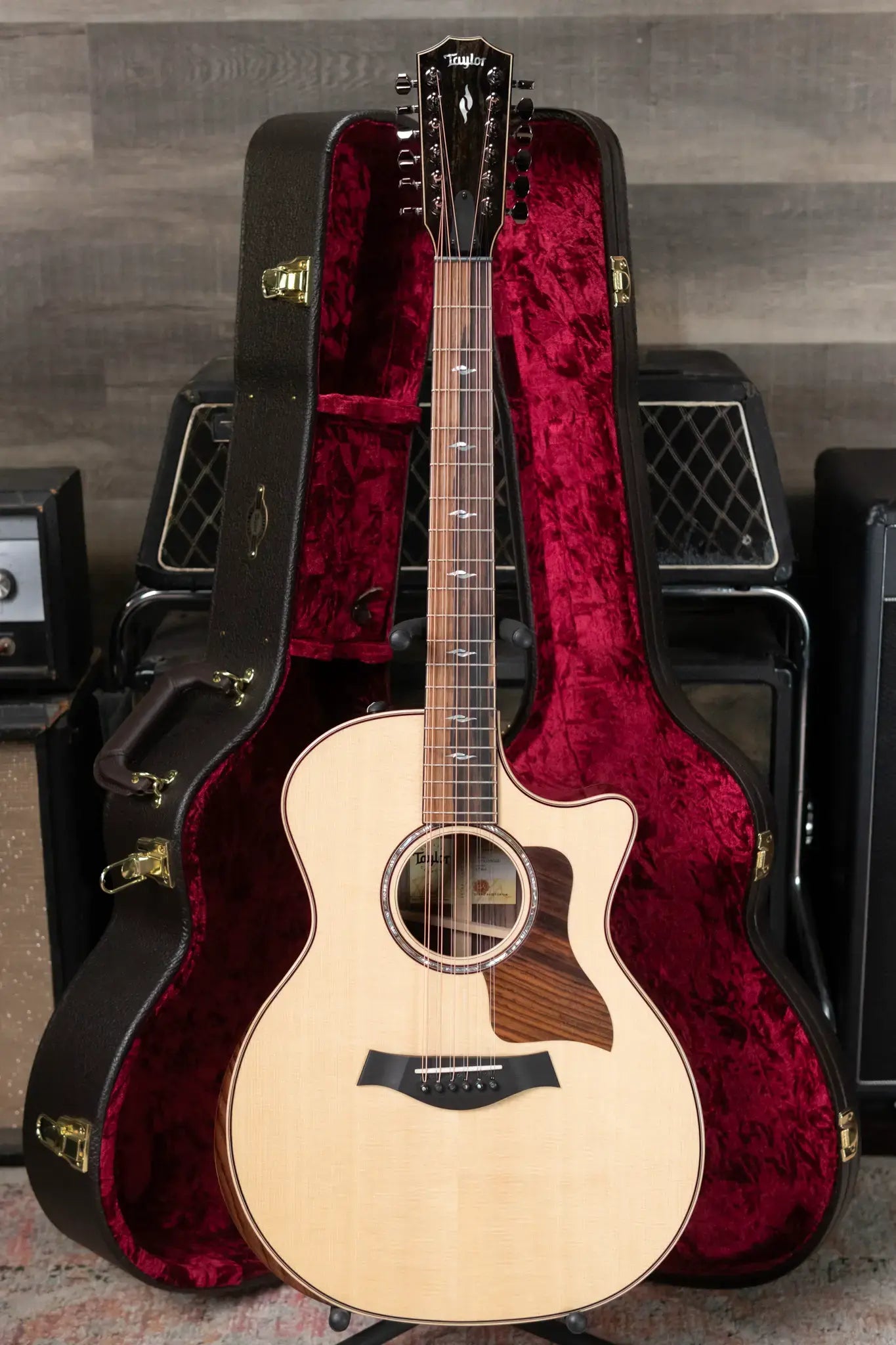 Taylor 854ce 12-String Grand Auditorium Acoustic/Electric Guitar with Hardshell Case