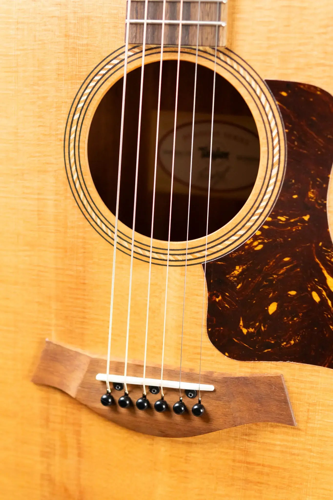 Taylor Academy 10e Dreadnought Acoustic/Electric Guitar with Gig Bag