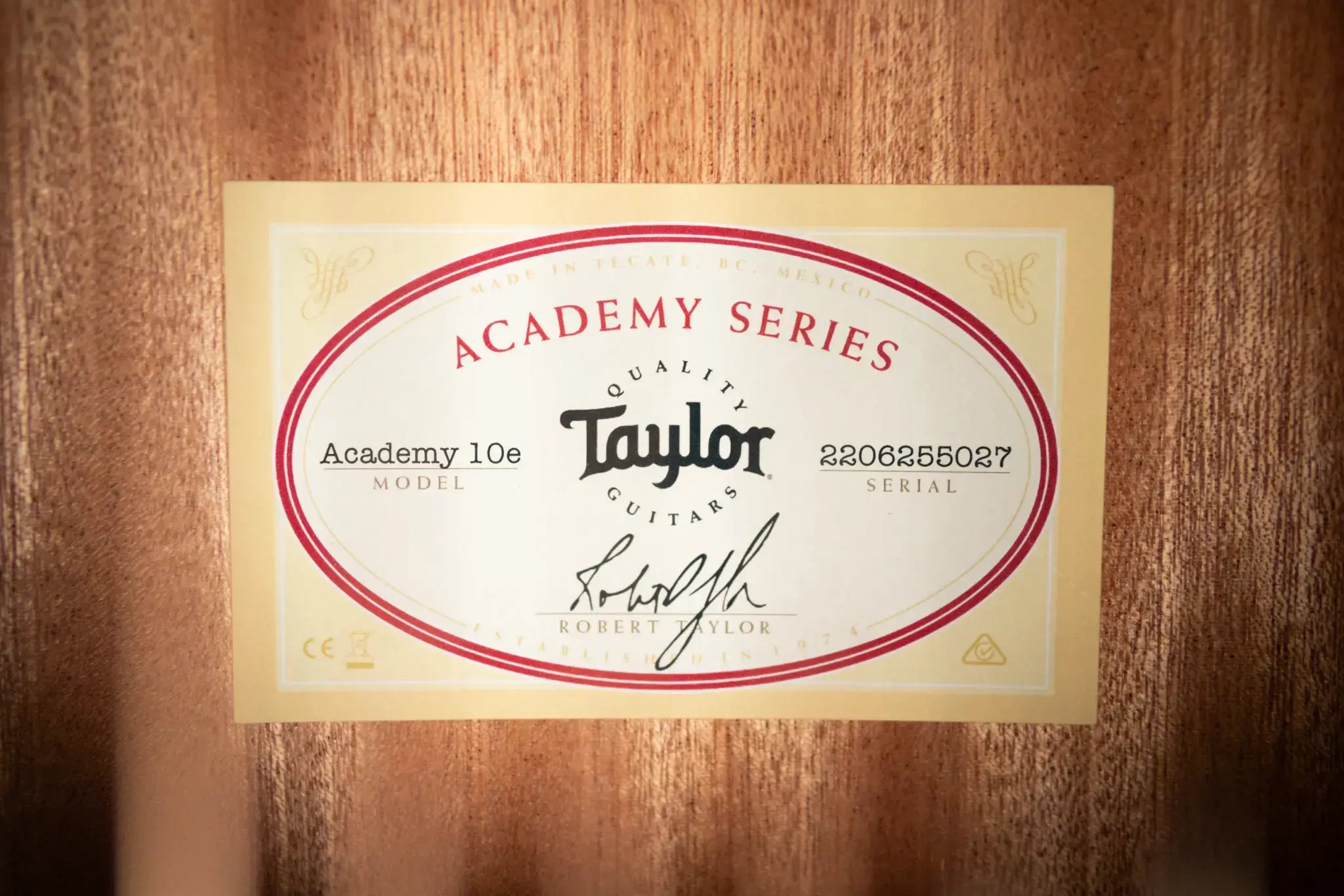 Taylor Academy 10e Dreadnought Acoustic/Electric Guitar with Gig Bag