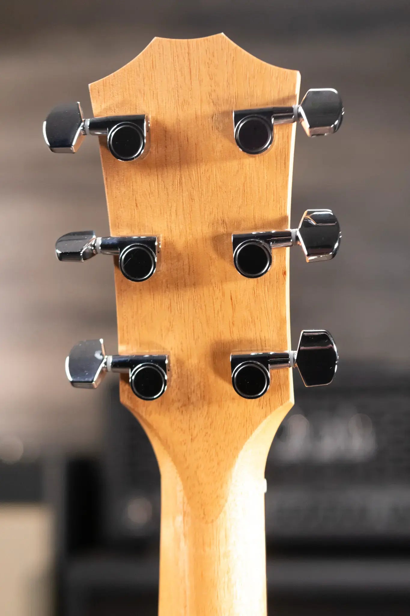 Taylor Academy 10e Dreadnought Acoustic/Electric Guitar with Gig Bag