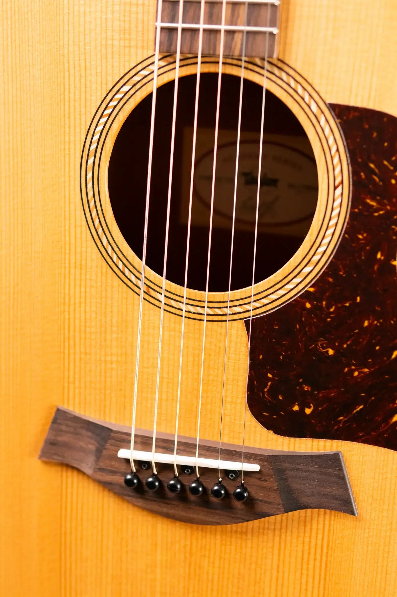 Taylor Academy 10e Dreadnought Acoustic/Electric Guitar with Gig Bag