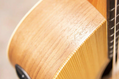 Taylor Academy 10e Dreadnought Acoustic/Electric Guitar with Gig Bag