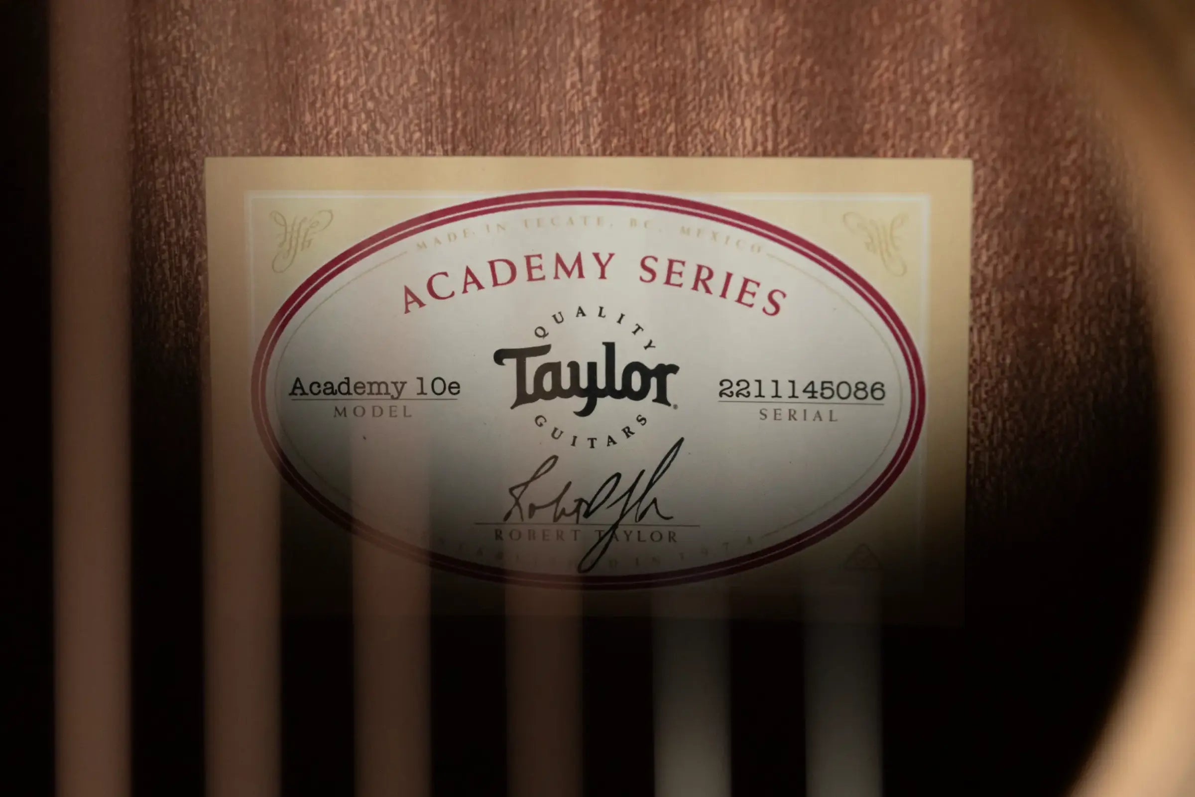 Taylor Academy 10e Dreadnought Acoustic/Electric Guitar with Gig Bag