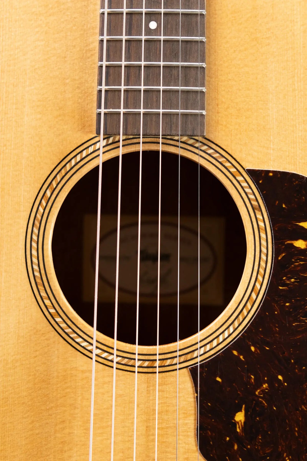 Taylor Academy 10e Dreadnought Acoustic/Electric Guitar with Gig Bag