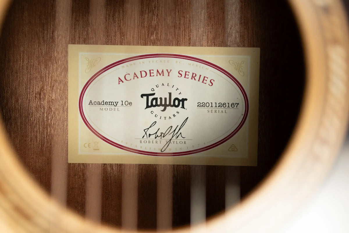 Taylor Academy 10e Dreadnought Acoustic/Electric Guitar with Gig Bag