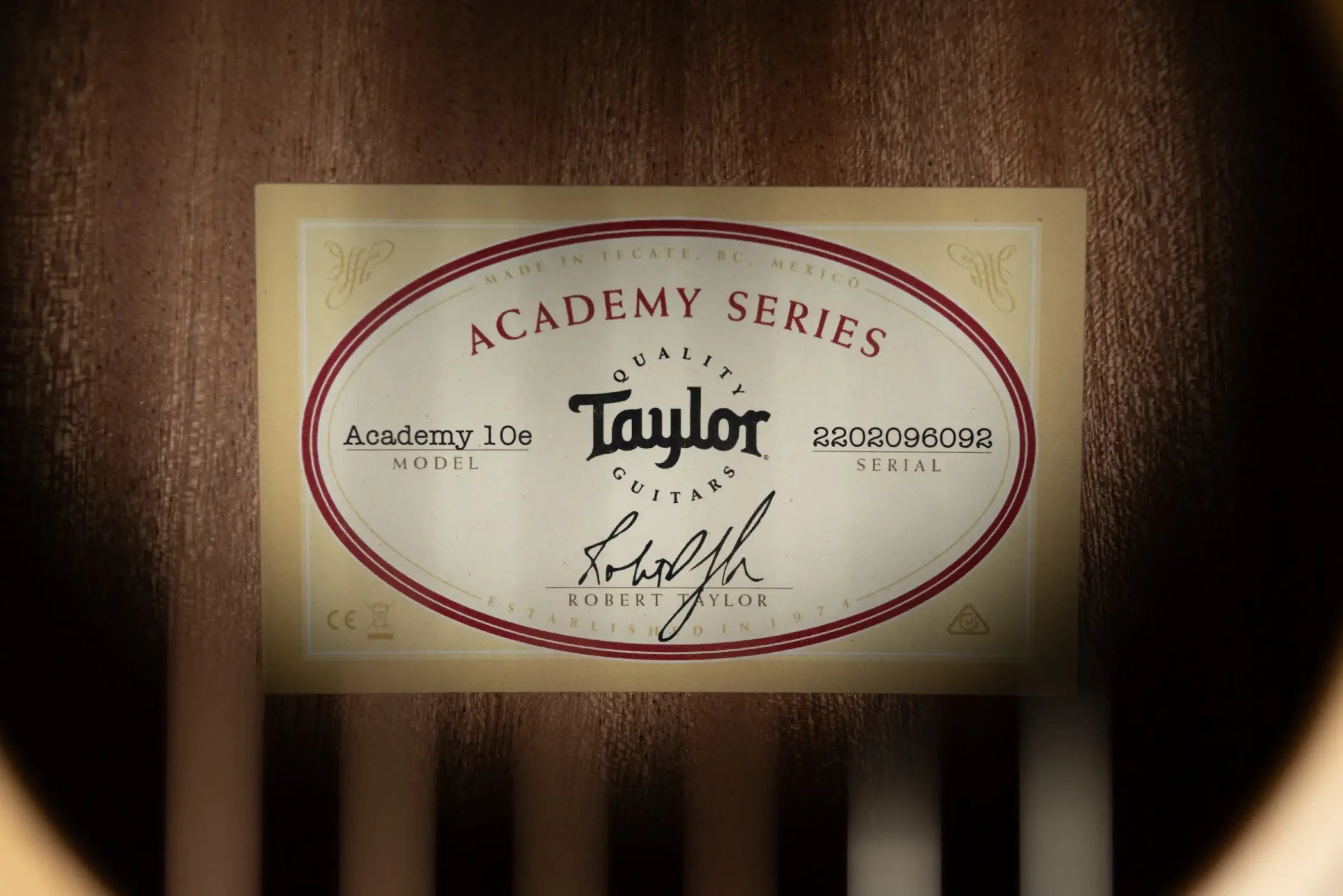 Taylor Academy 10e Dreadnought Acoustic/Electric Guitar with Gig Bag