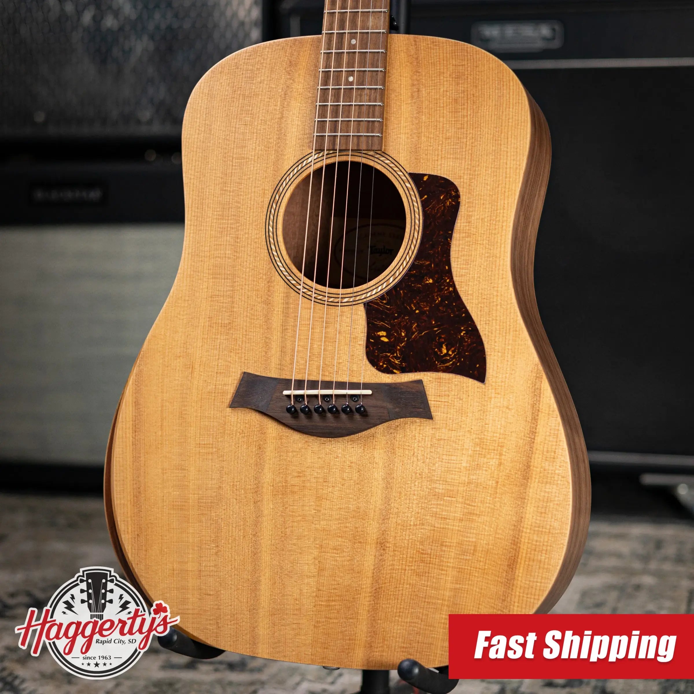 Taylor Academy 10e Dreadnought Acoustic/Electric Guitar with Gig Bag