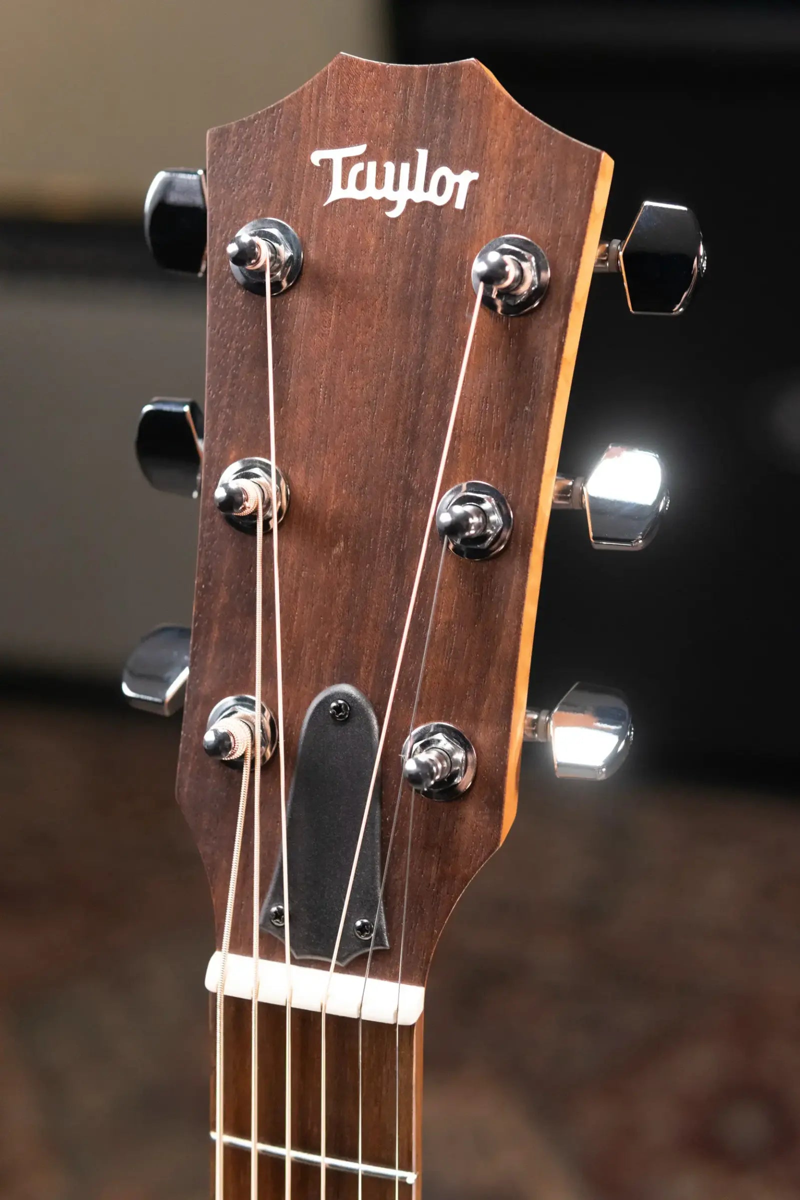Taylor Academy 12e Acoustic-Electric Guitar with Gig Bag