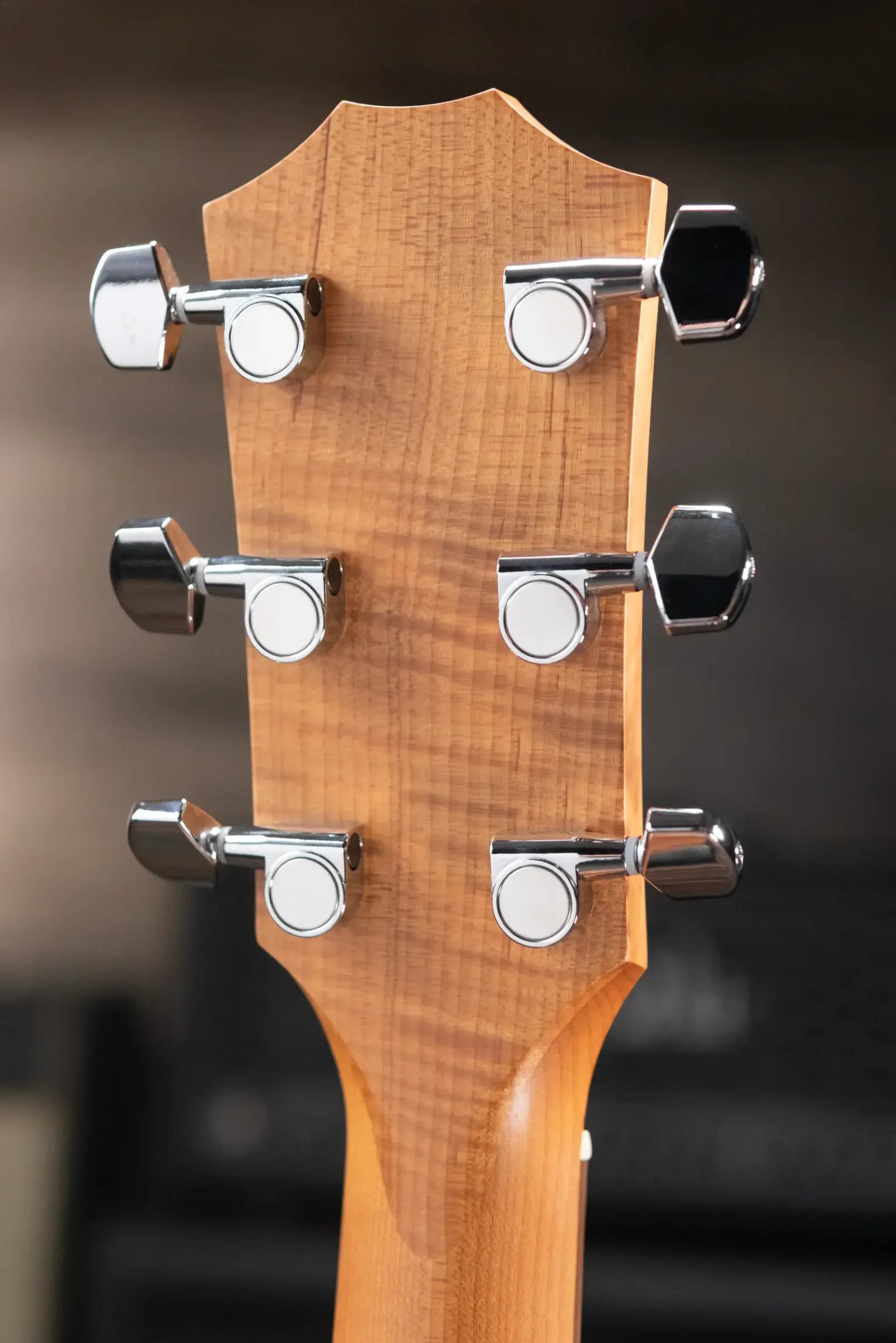 Taylor Academy 12e Acoustic-Electric Guitar with Gig Bag