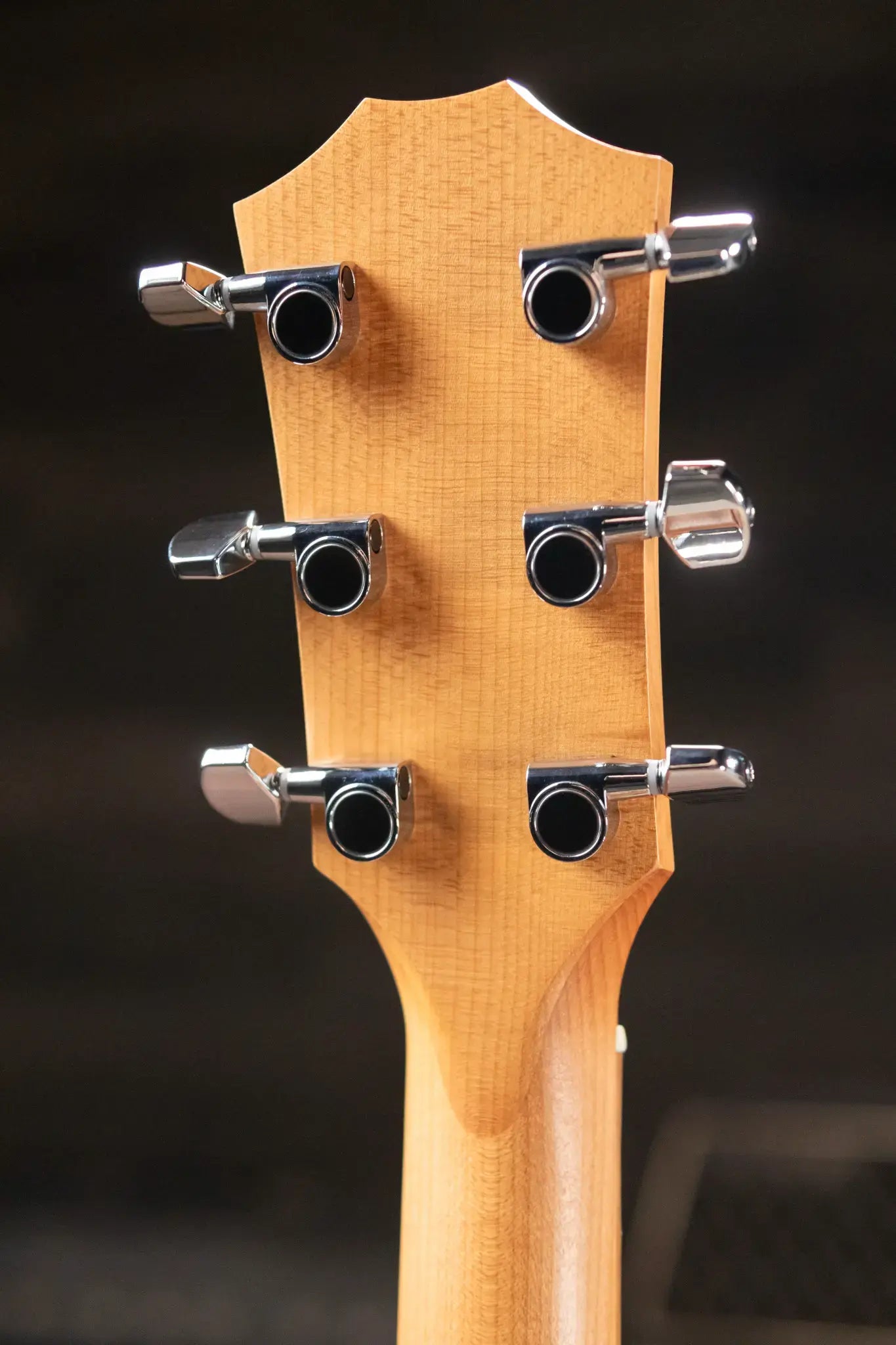 Taylor Academy 12e Acoustic-Electric Guitar with Gig Bag