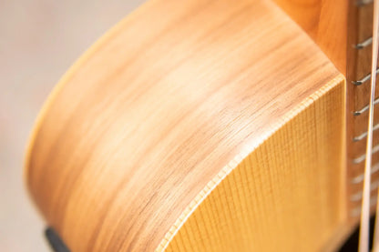 Taylor Academy 12e Acoustic-Electric Guitar with Gig Bag