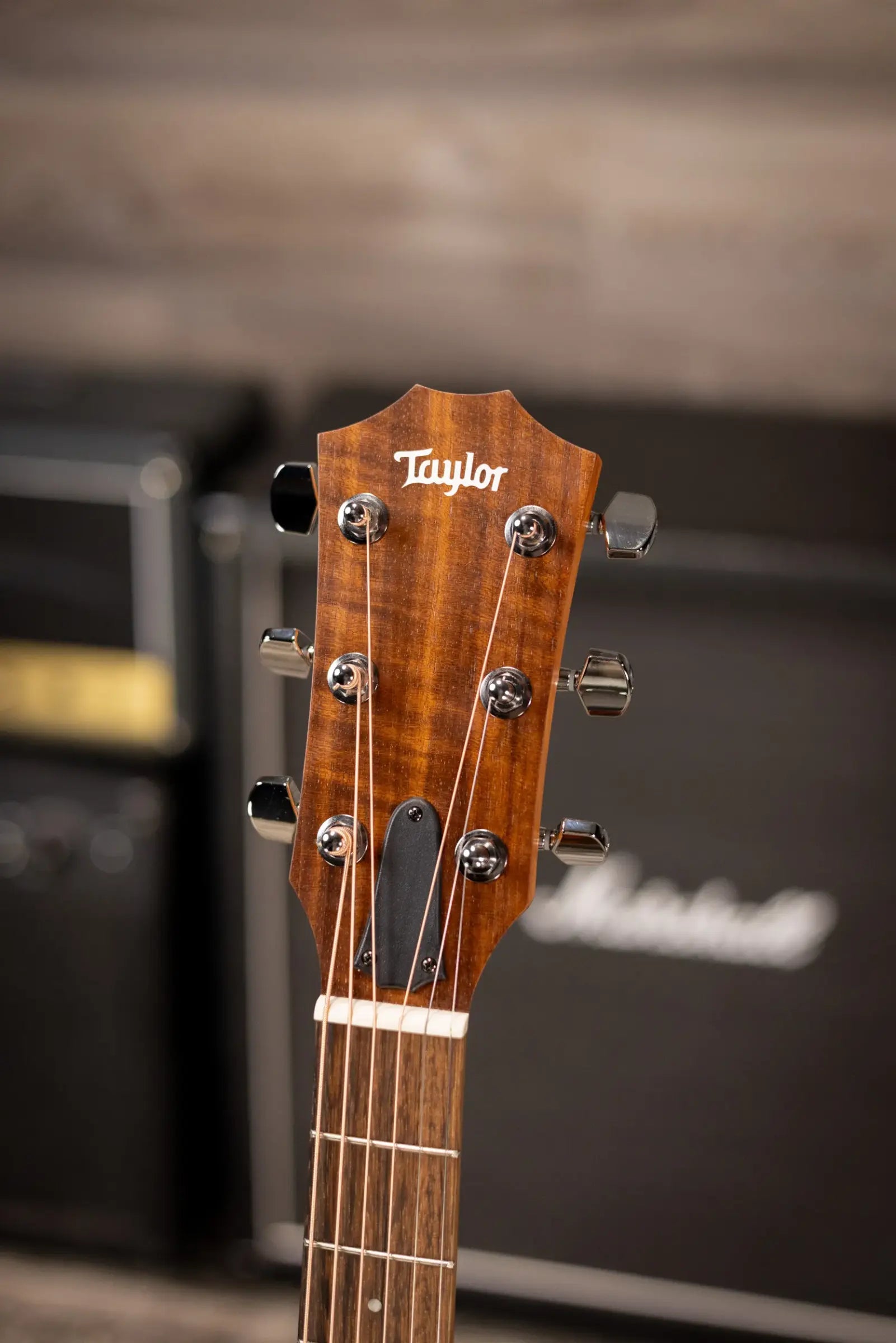 Taylor Academy 12e Grand Concert Acoustic/Electric Guitar with Gig Bag