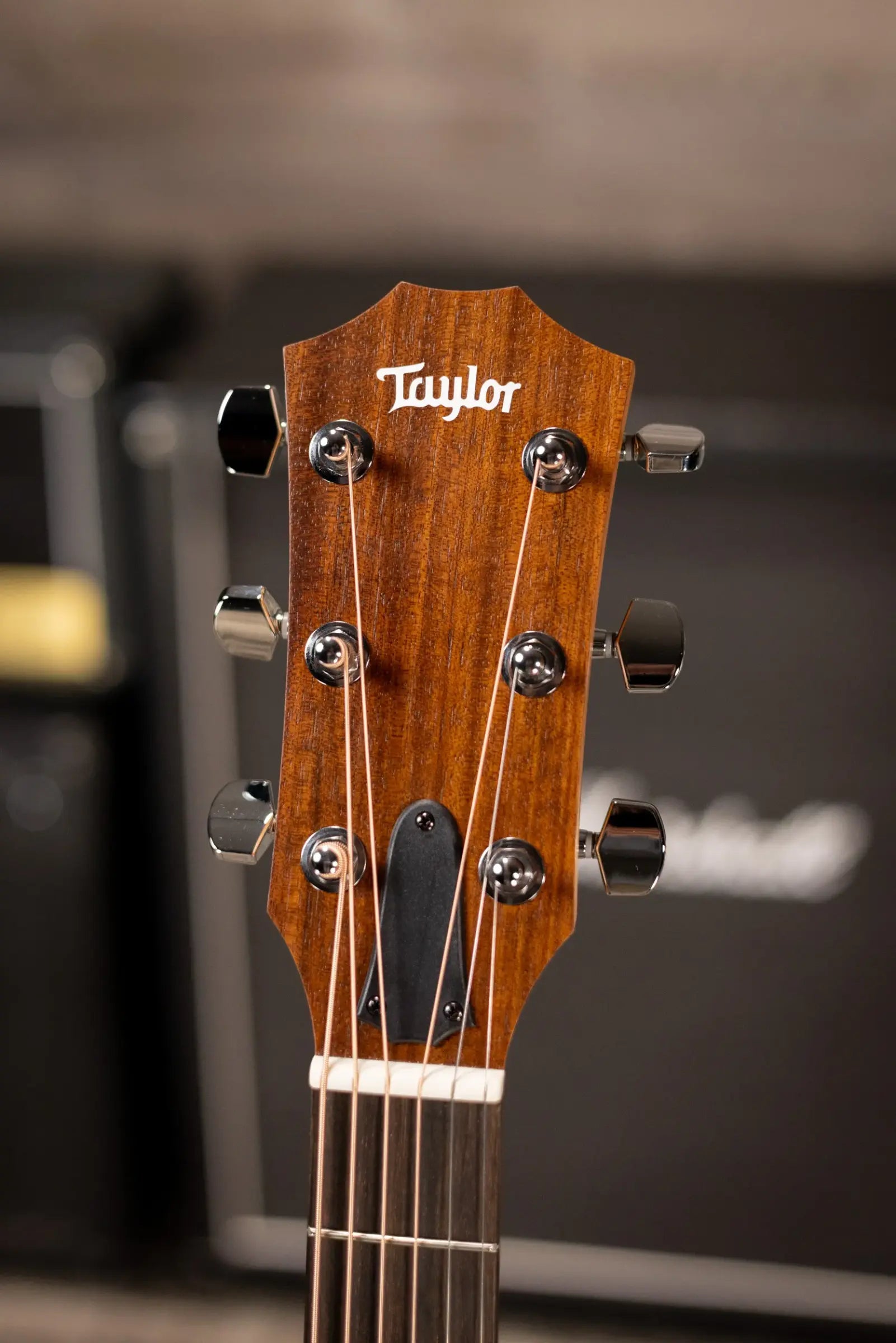 Taylor Academy 12e Grand Concert Acoustic/Electric Guitar with Gig Bag