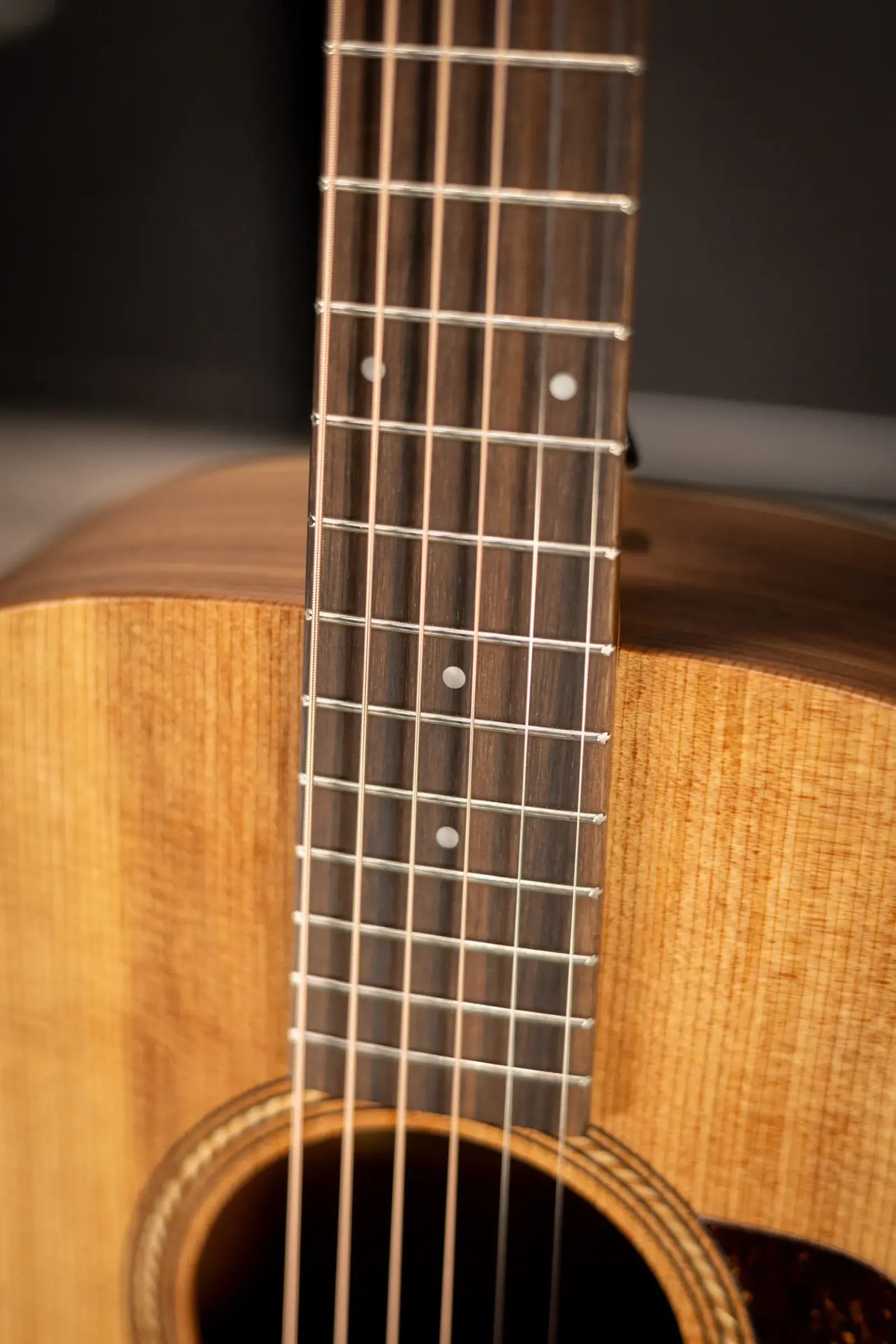 Taylor Academy 12e Grand Concert Acoustic/Electric Guitar with Gig Bag