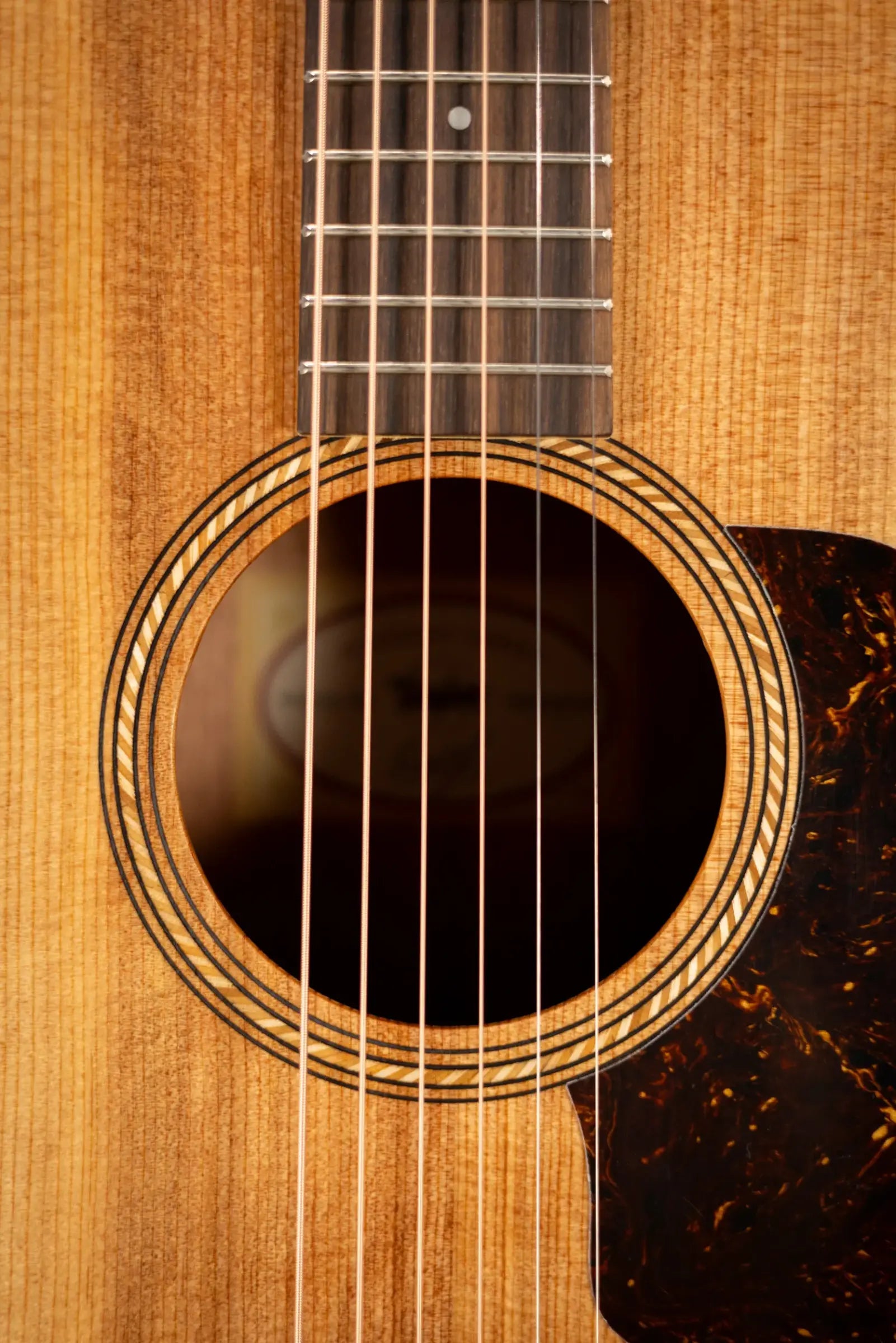 Taylor Academy 12e Grand Concert Acoustic/Electric Guitar with Gig Bag