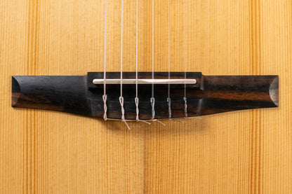 Taylor Academy 12e-N LTD Nylon Grand Concert Acoustic/Electric Guitar - Spruce/Figured Koa with Gig Bag