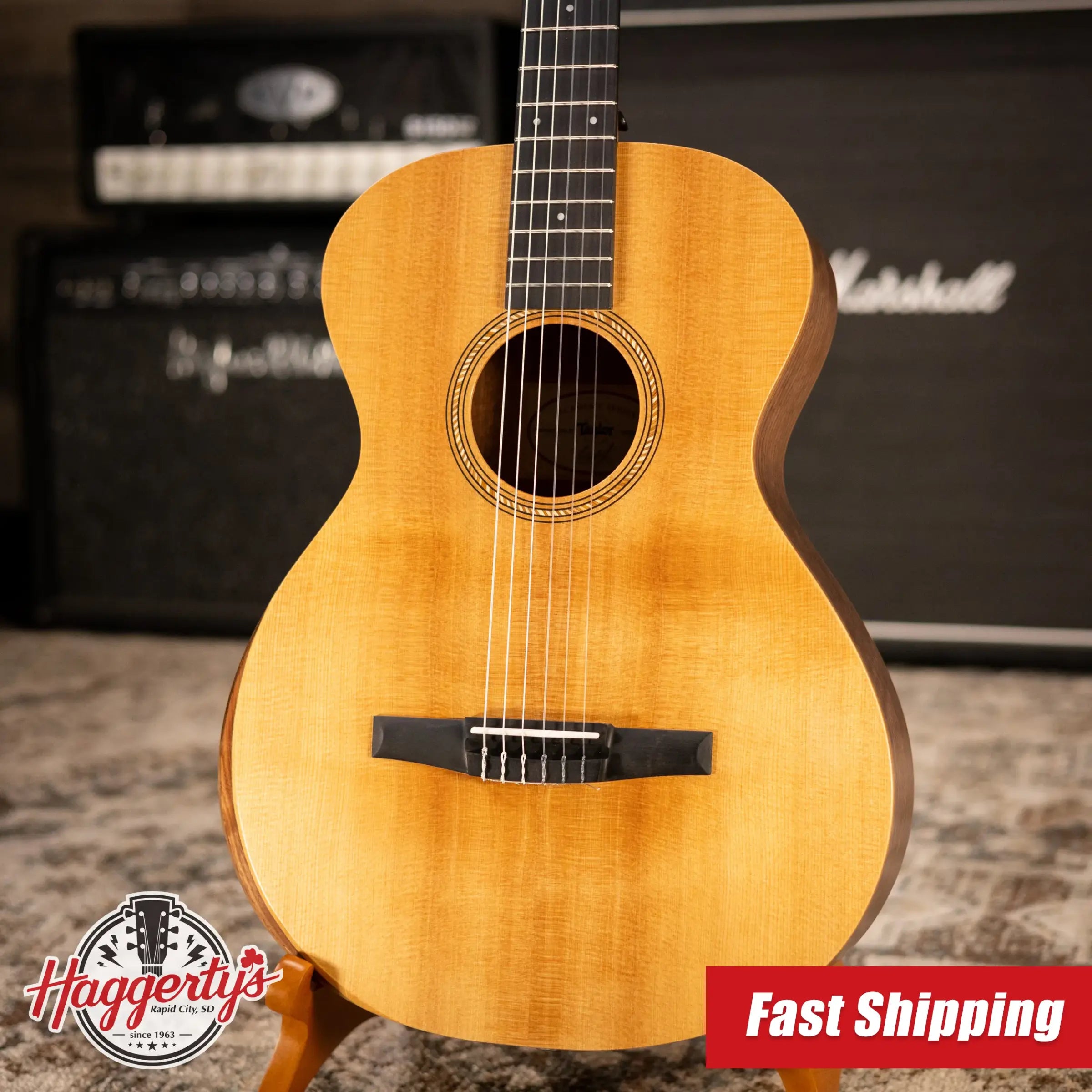 Taylor Academy 12e-N Nylon Grand Concert Acoustic/Electric Guitar with Gig Bag