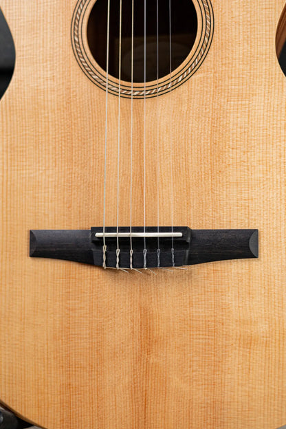 Taylor Academy 12e-N Nylon Grand Concert Acoustic/Electric Guitar with Gig Bag
