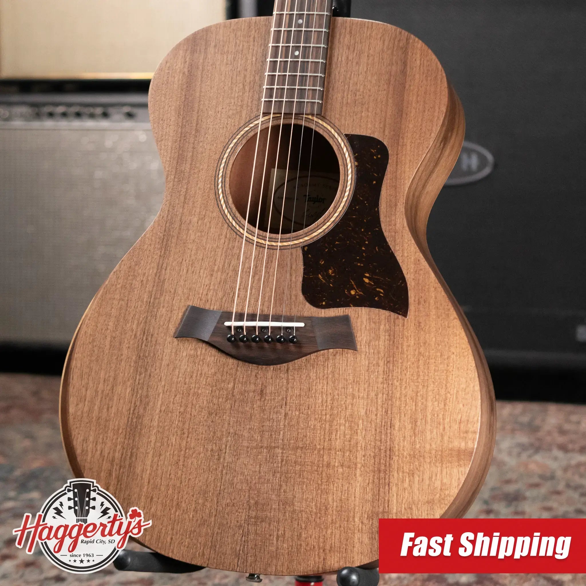 Taylor Academy 22e Grand Concert Acoustic/Electric Guitar with Gig Bag