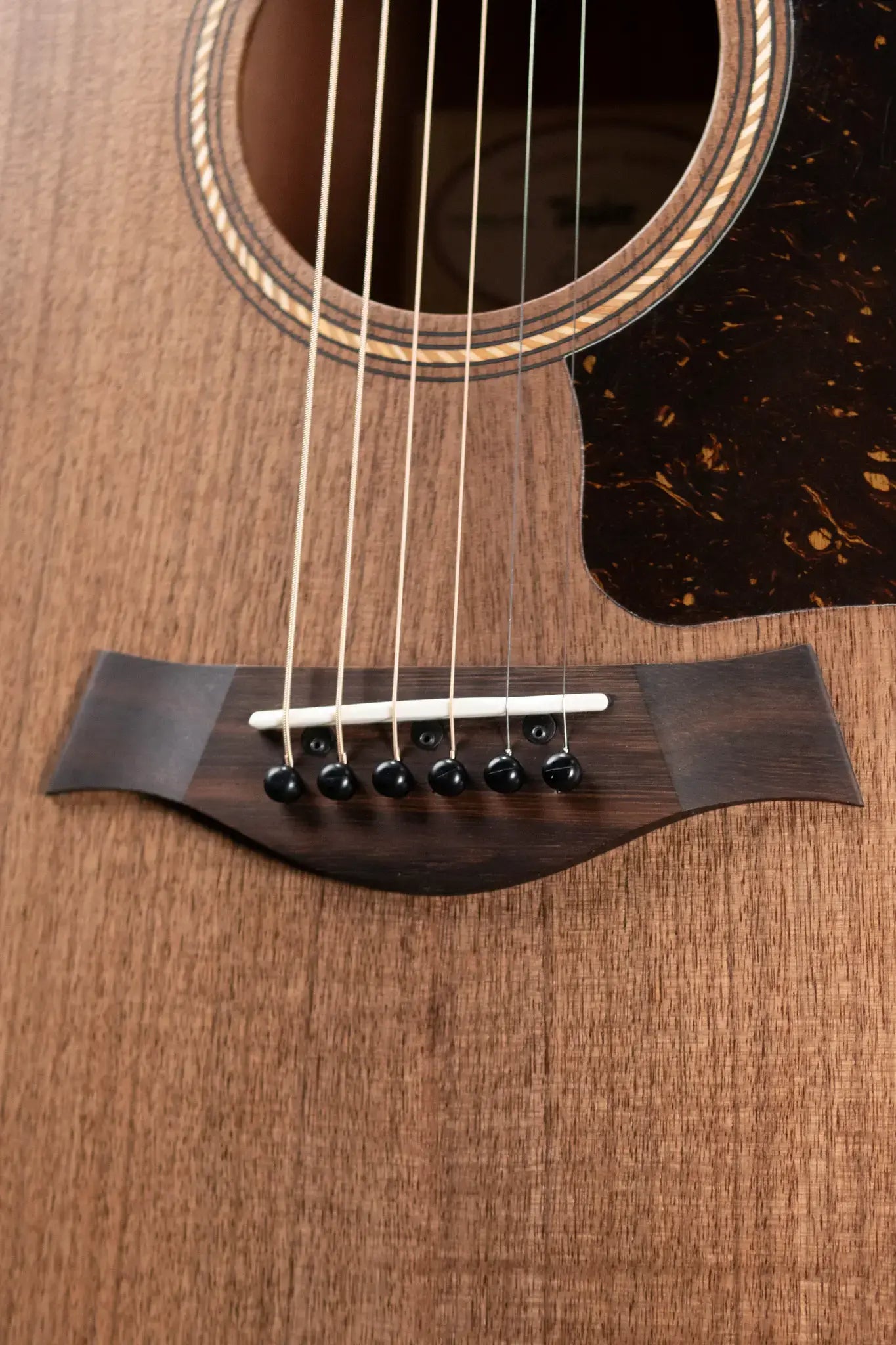 Taylor Academy 22e Grand Concert Acoustic/Electric Guitar with Gig Bag