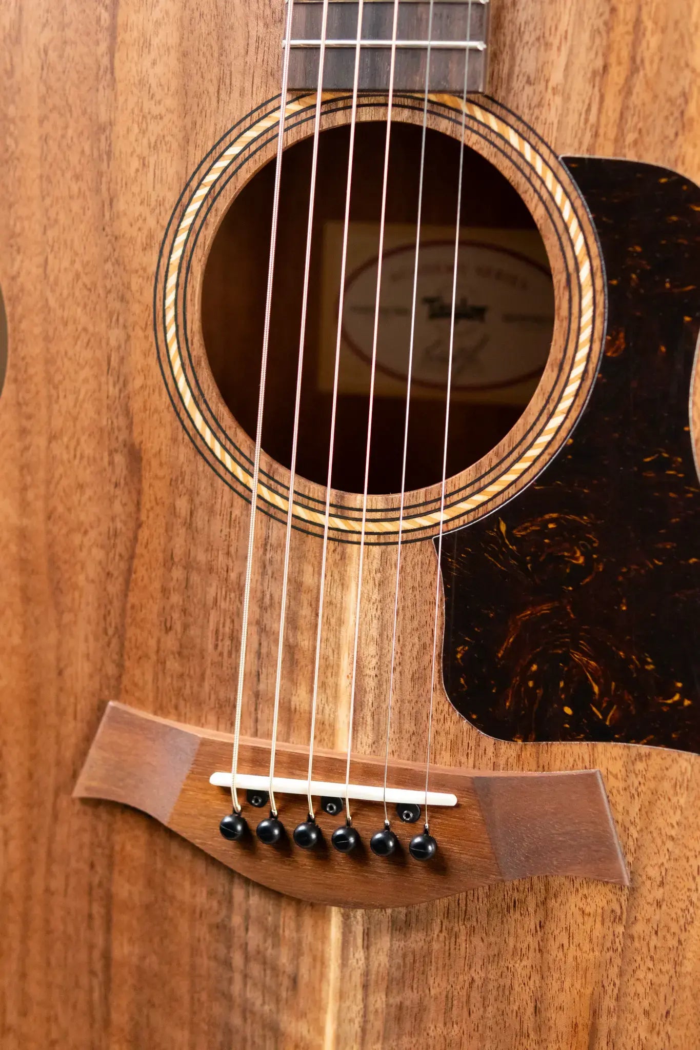 Taylor Academy 22e Grand Concert Acoustic/Electric Guitar with Gig Bag