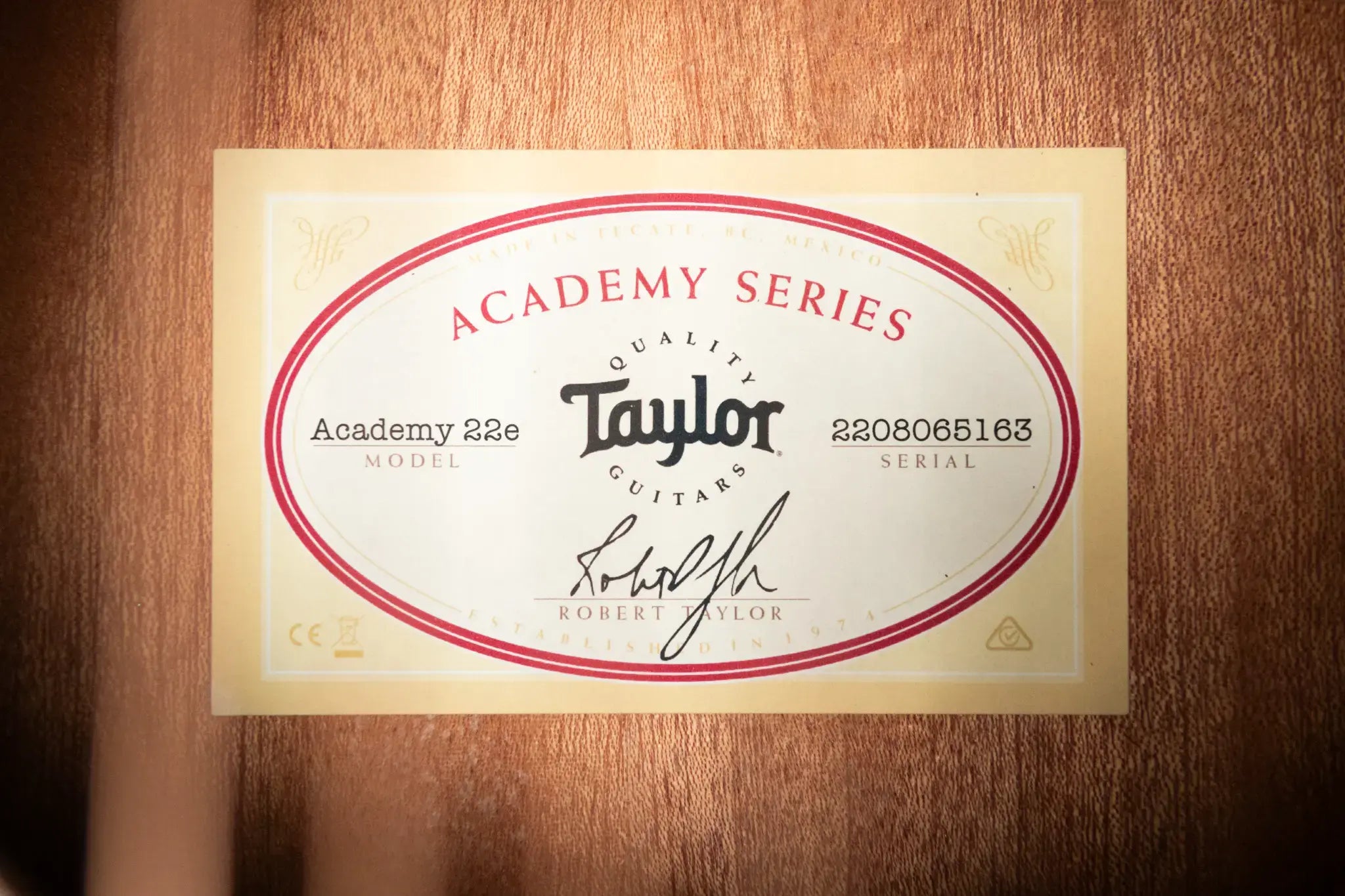 Taylor Academy 22e Grand Concert Acoustic/Electric Guitar with Gig Bag
