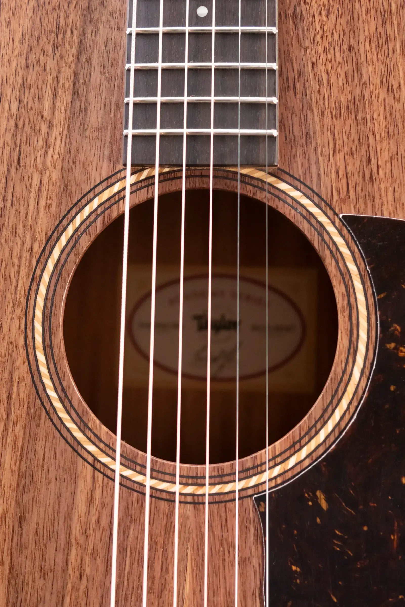 Taylor Academy 22e Grand Concert Acoustic/Electric Guitar with Gig Bag