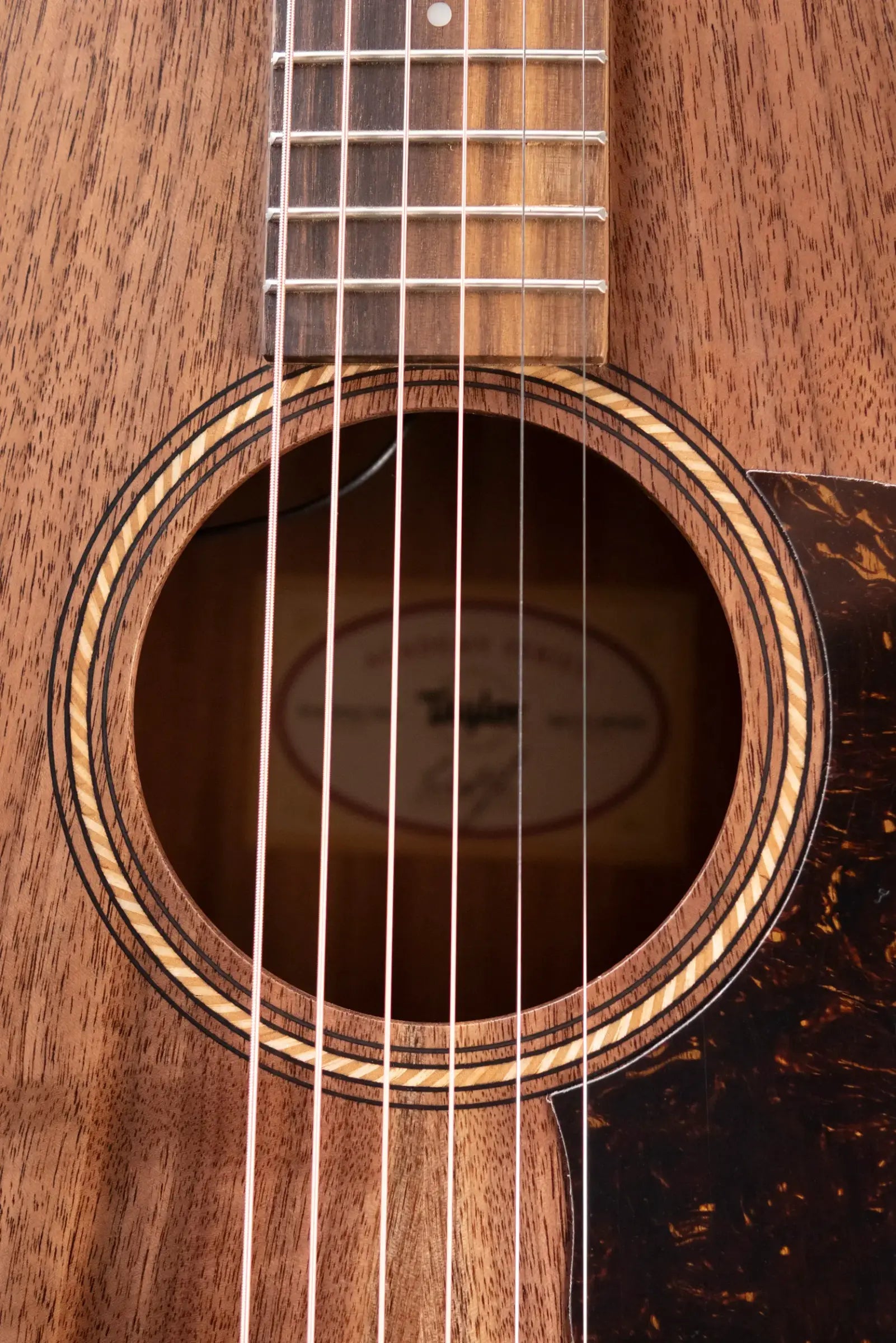 Taylor Academy 22e Grand Concert Acoustic/Electric Guitar with Gig Bag