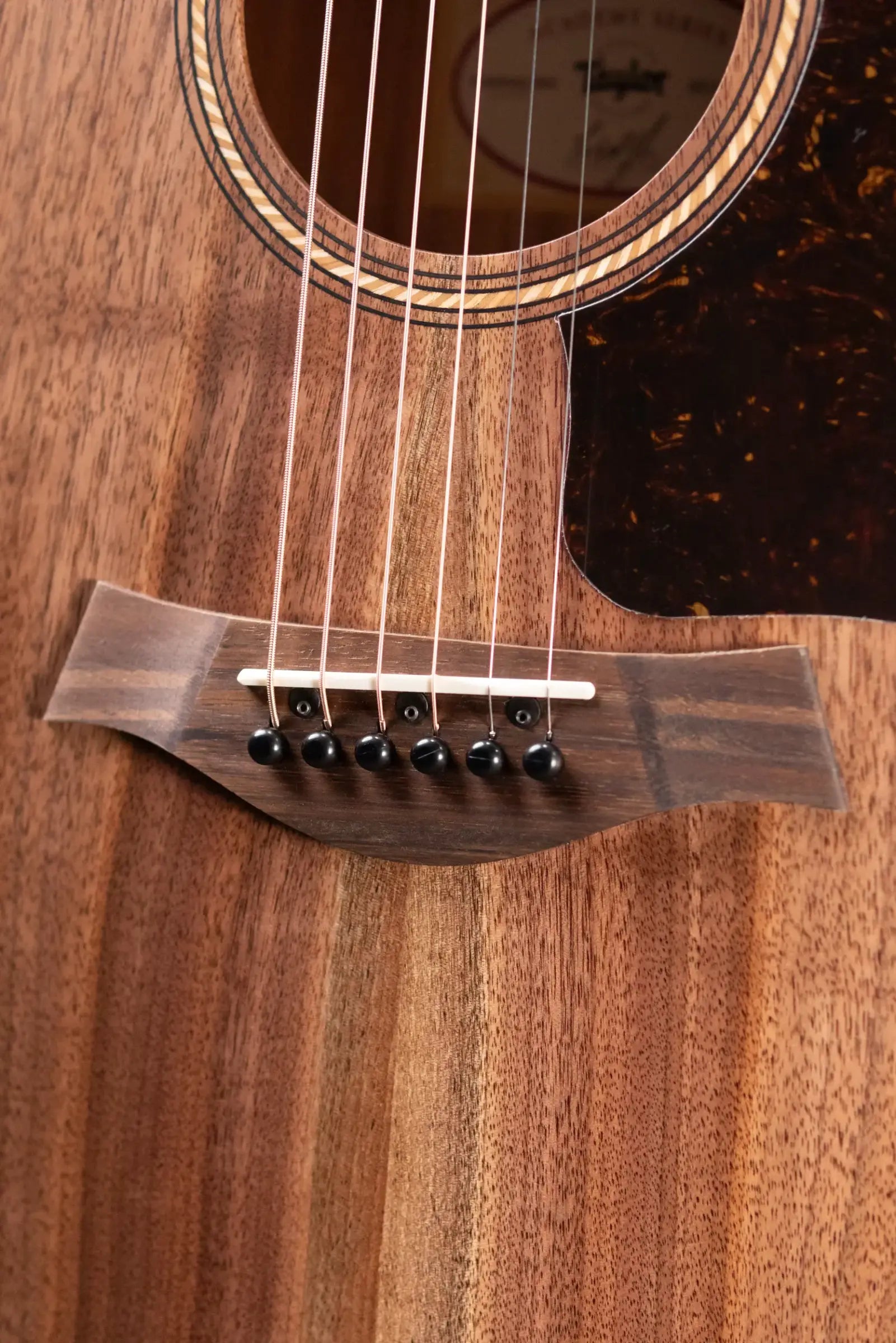 Taylor Academy 22e Grand Concert Acoustic/Electric Guitar with Gig Bag