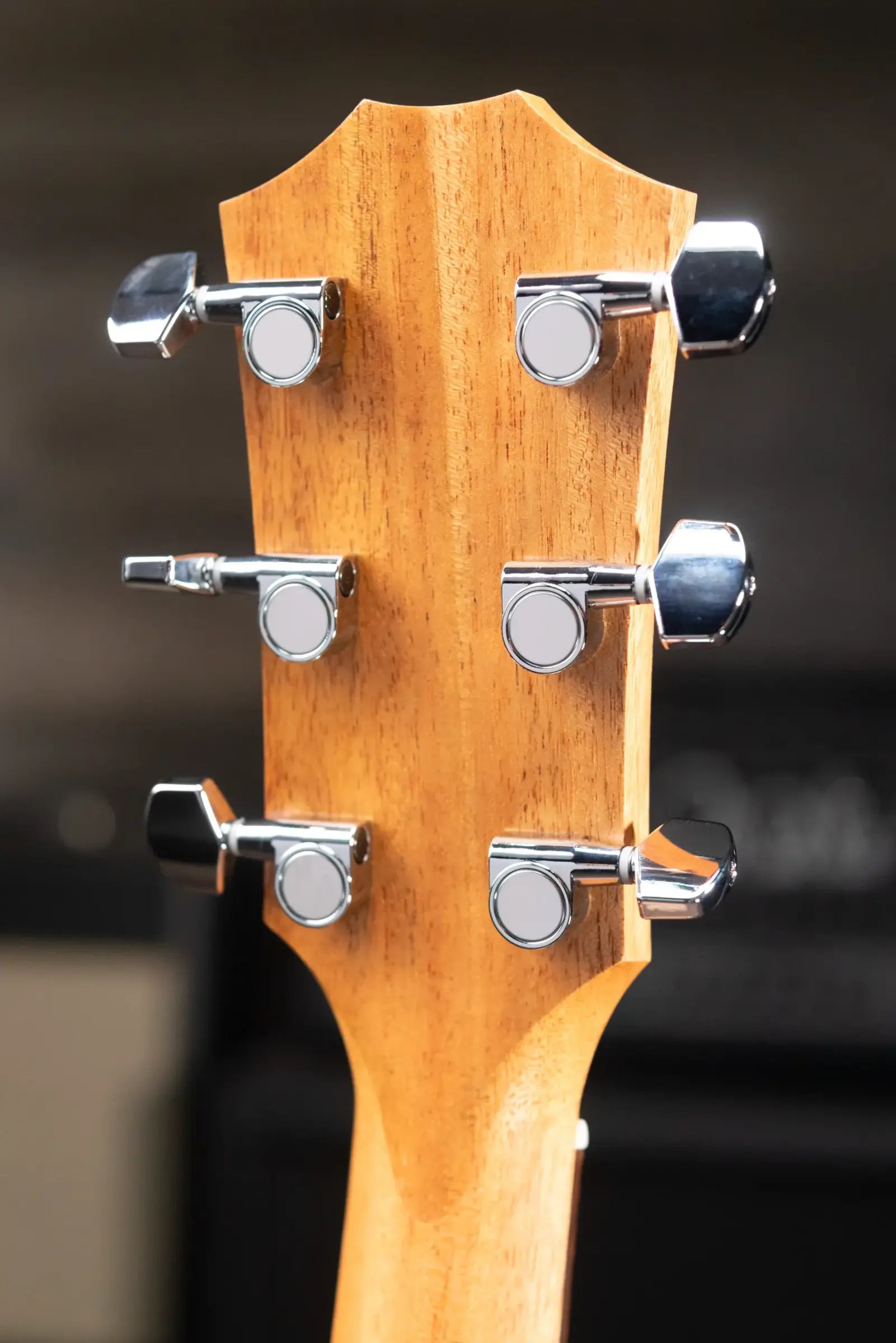 Taylor Academy 22e Grand Concert Acoustic/Electric Guitar with Gig Bag