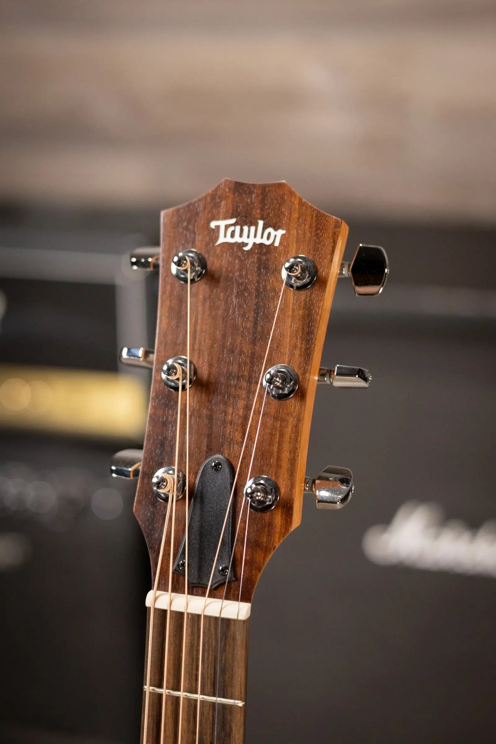 Taylor Academy 22e Grand Concert Acoustic/Electric Guitar with Gig Bag