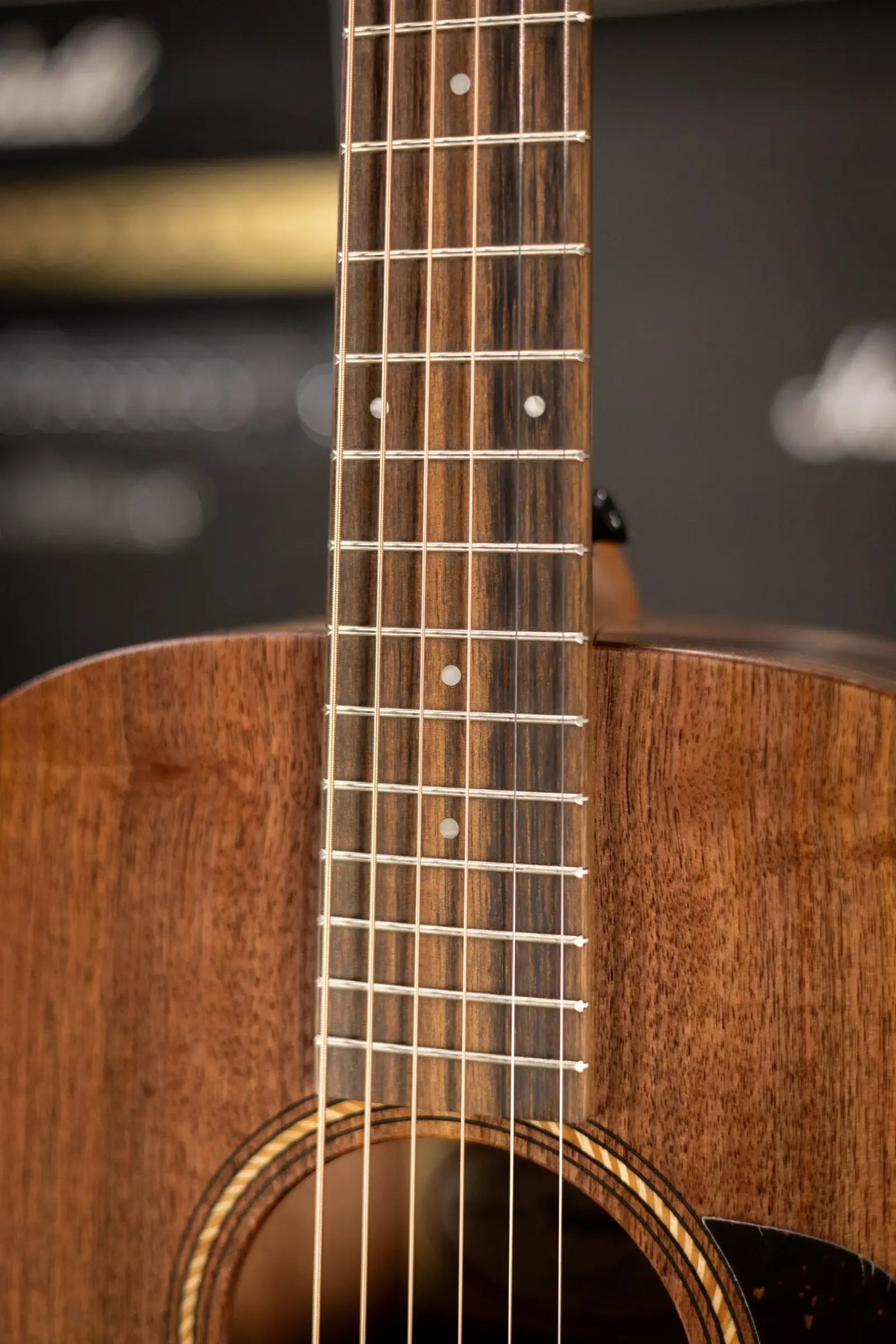 Taylor Academy 22e Grand Concert Acoustic/Electric Guitar with Gig Bag