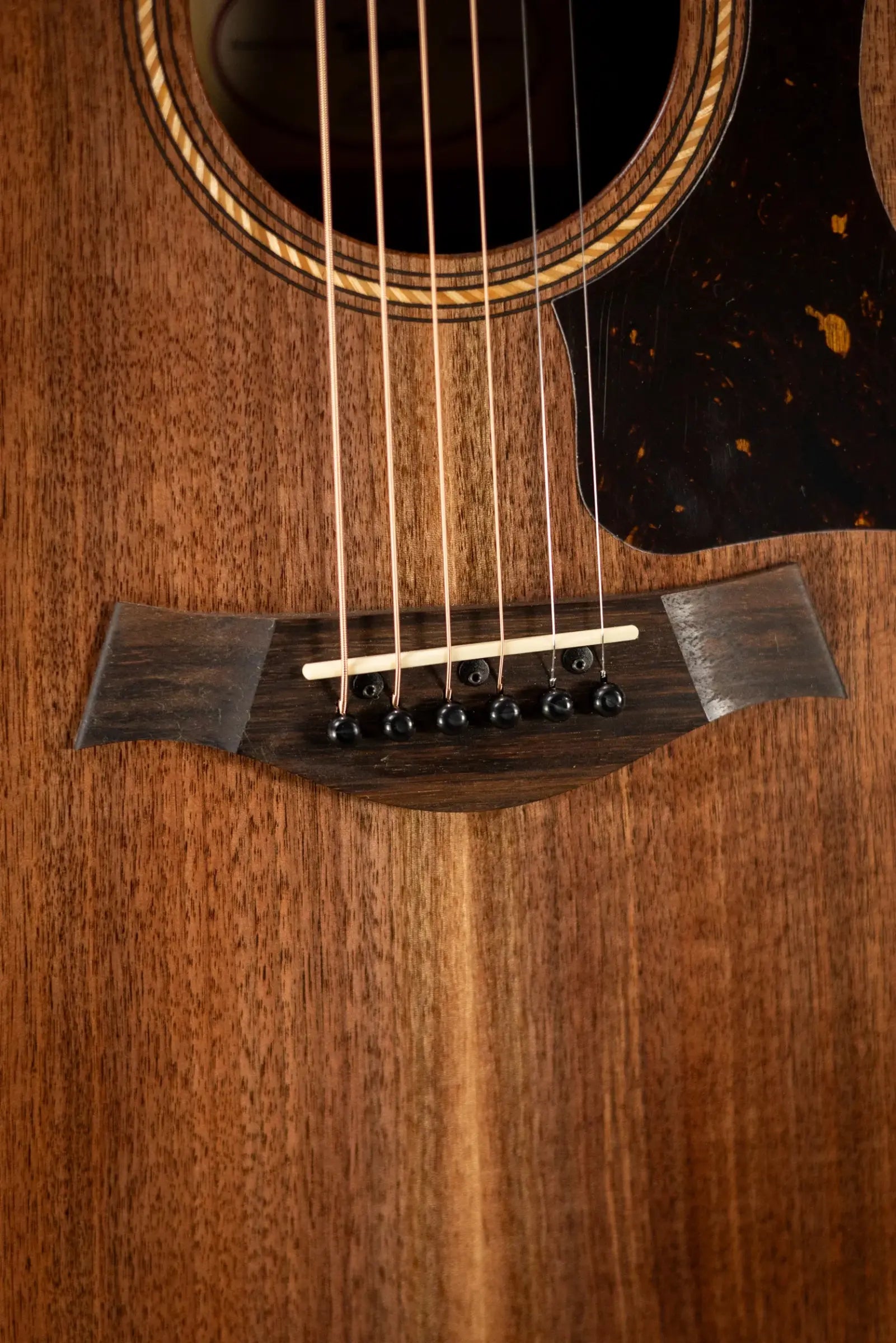 Taylor Academy 22e Grand Concert Acoustic/Electric Guitar with Gig Bag