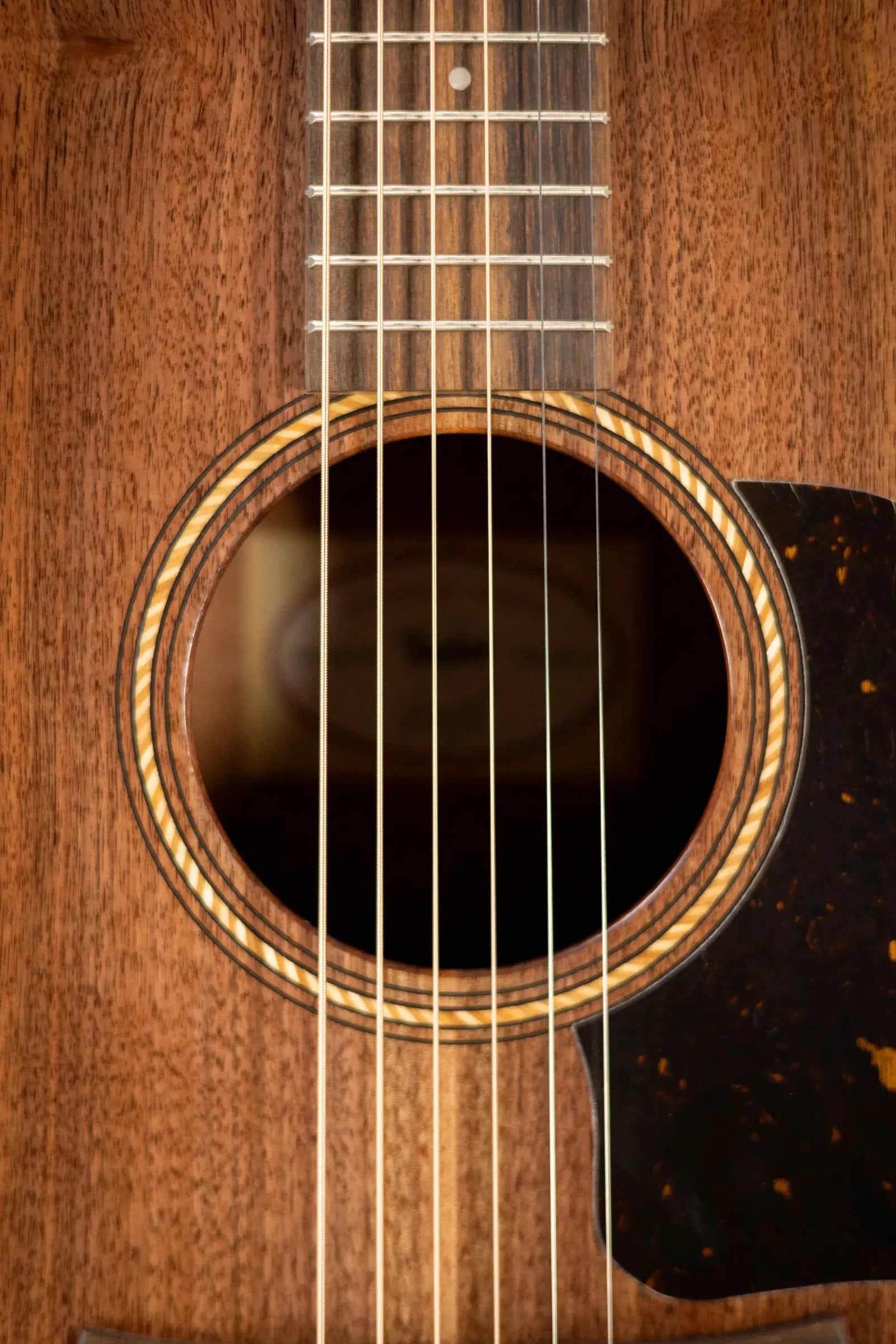 Taylor Academy 22e Grand Concert Acoustic/Electric Guitar with Gig Bag