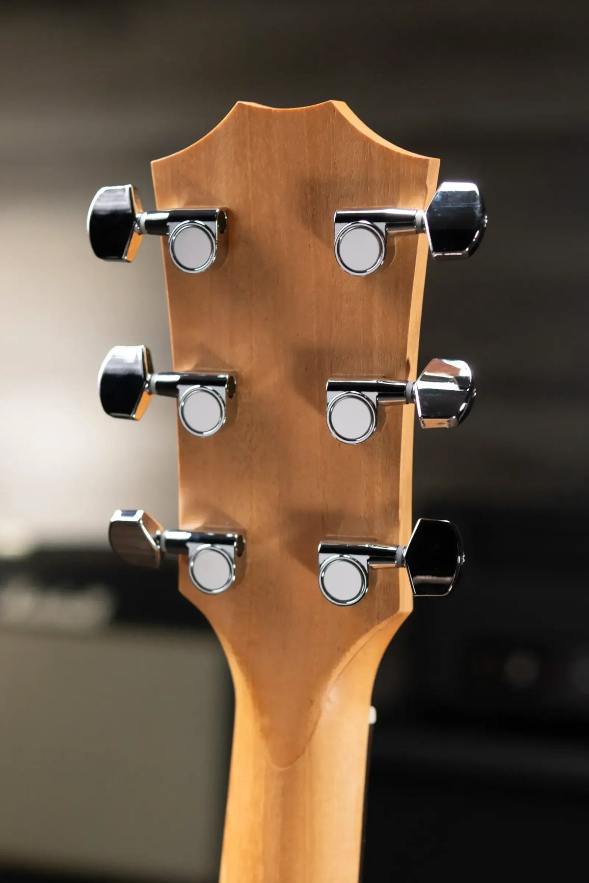 Taylor Academy 22e Grand Concert Acoustic/Electric Guitar with Gig Bag