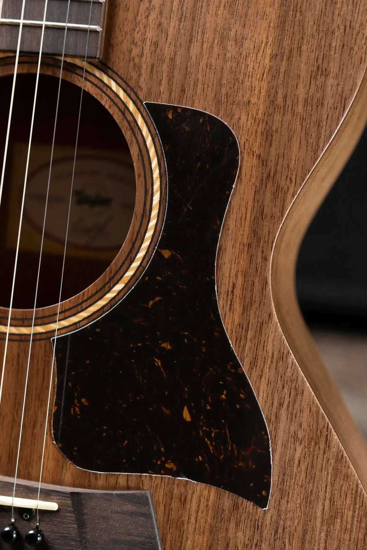 Taylor Academy 22e Grand Concert Acoustic/Electric Guitar with Gig Bag